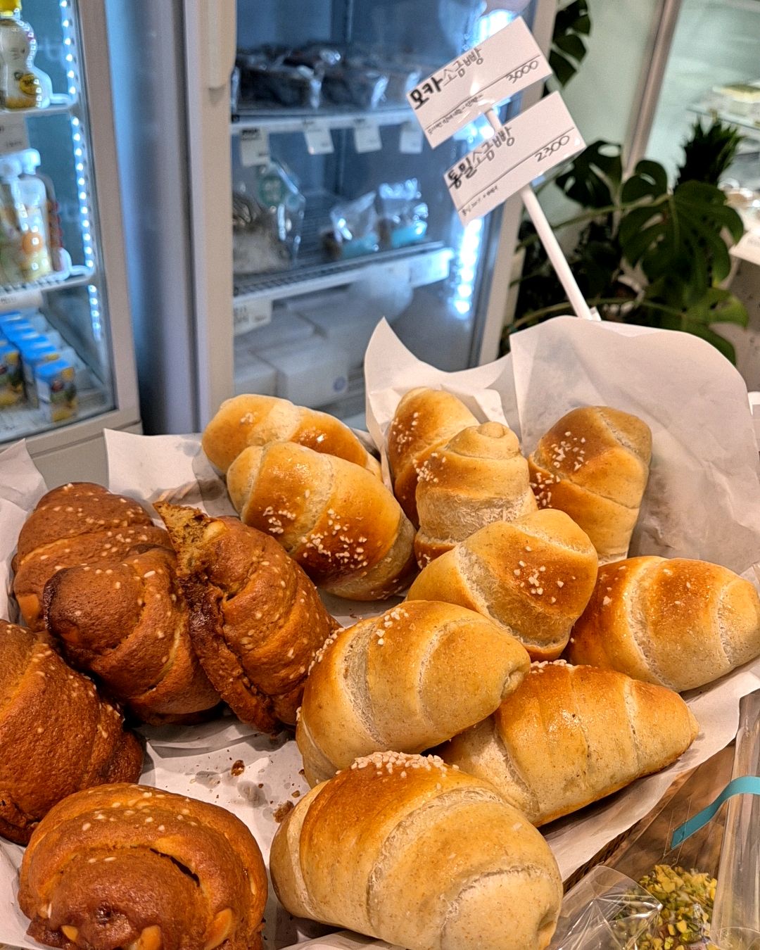정자역 맛집 소금과빛베이커리 내돈내산 방문리뷰