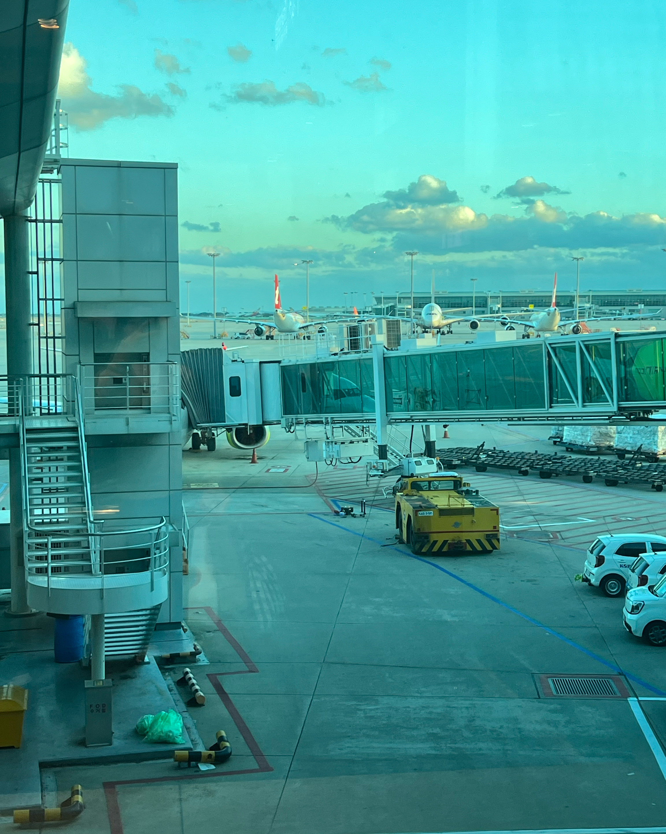 [인천공항 맛집 파스쿠찌 인천공항T2라운지 동편점] 직접 가본 로컬 리뷰