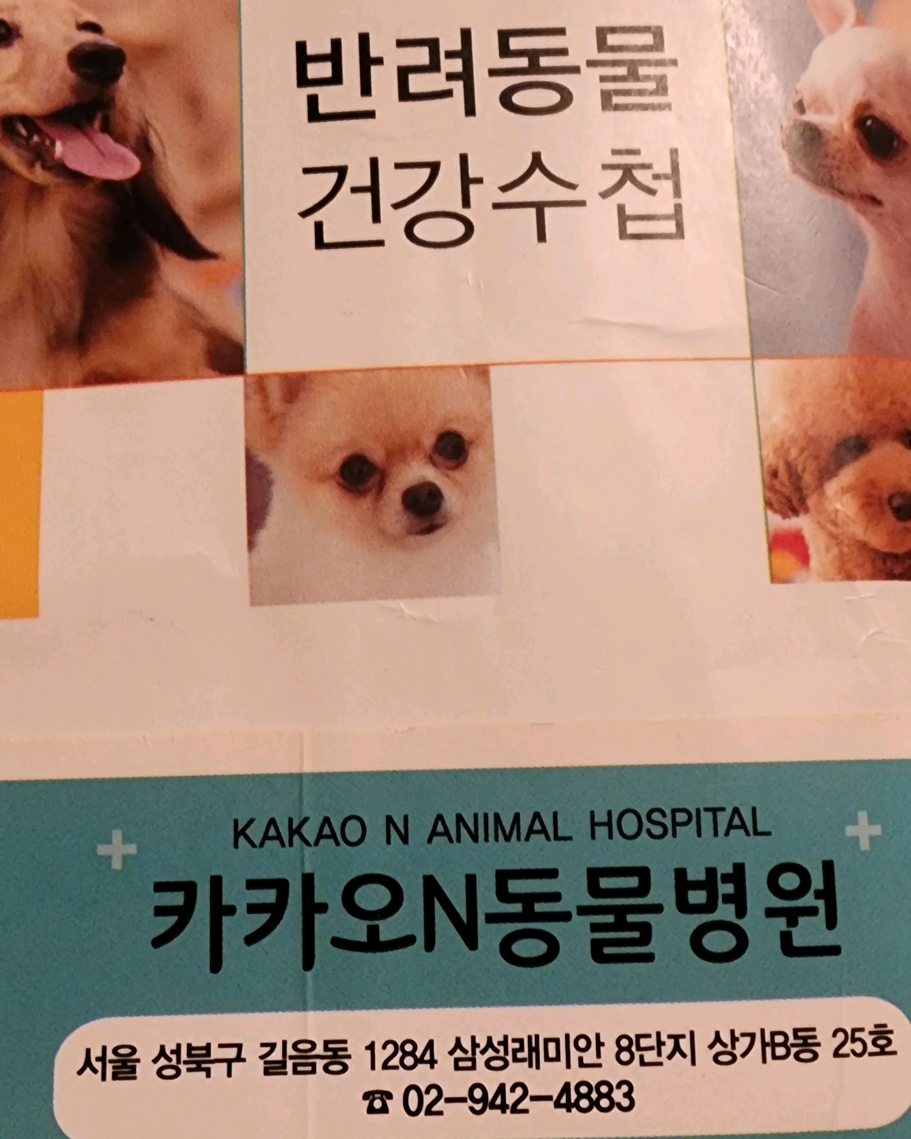 리뷰 사진 1