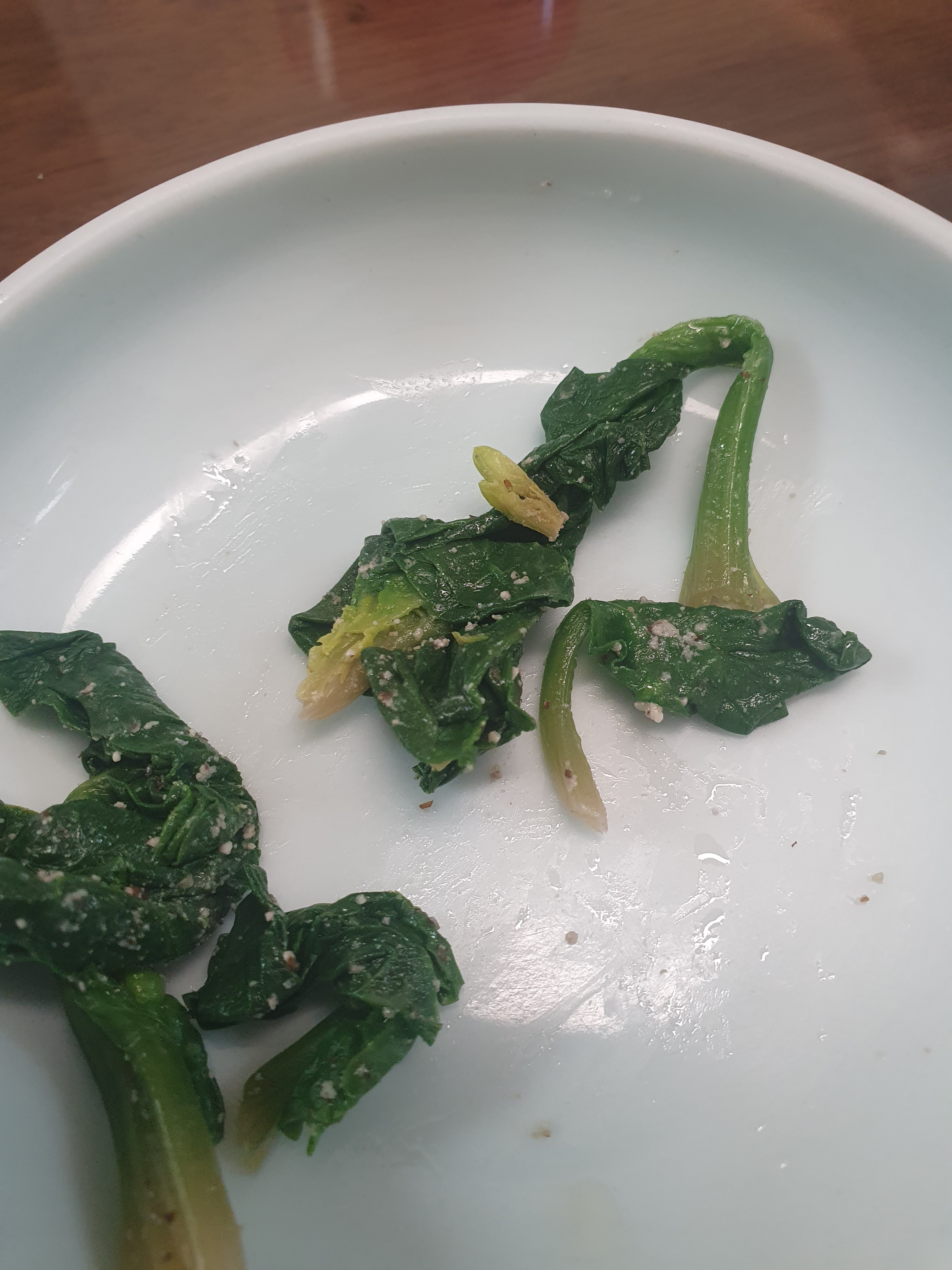 [인천공항 맛집 취 파라다이스시티점] 직접 가본 로컬 리뷰