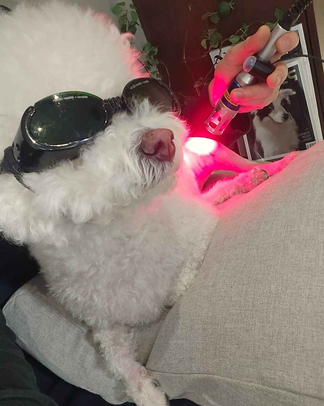 리뷰 사진 1