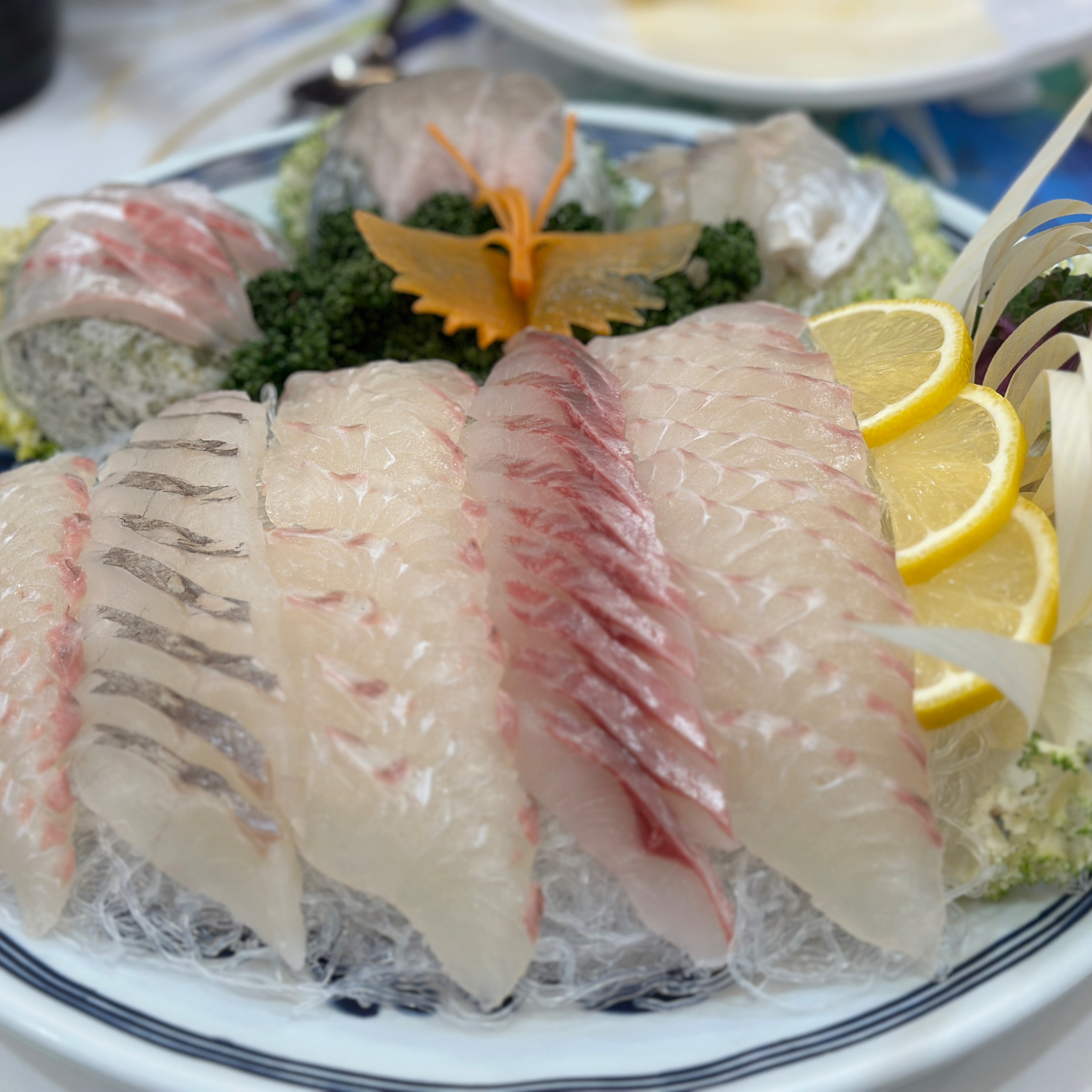 [강릉 맛집 강릉다물선횟집] 직접 가본 로컬 리뷰