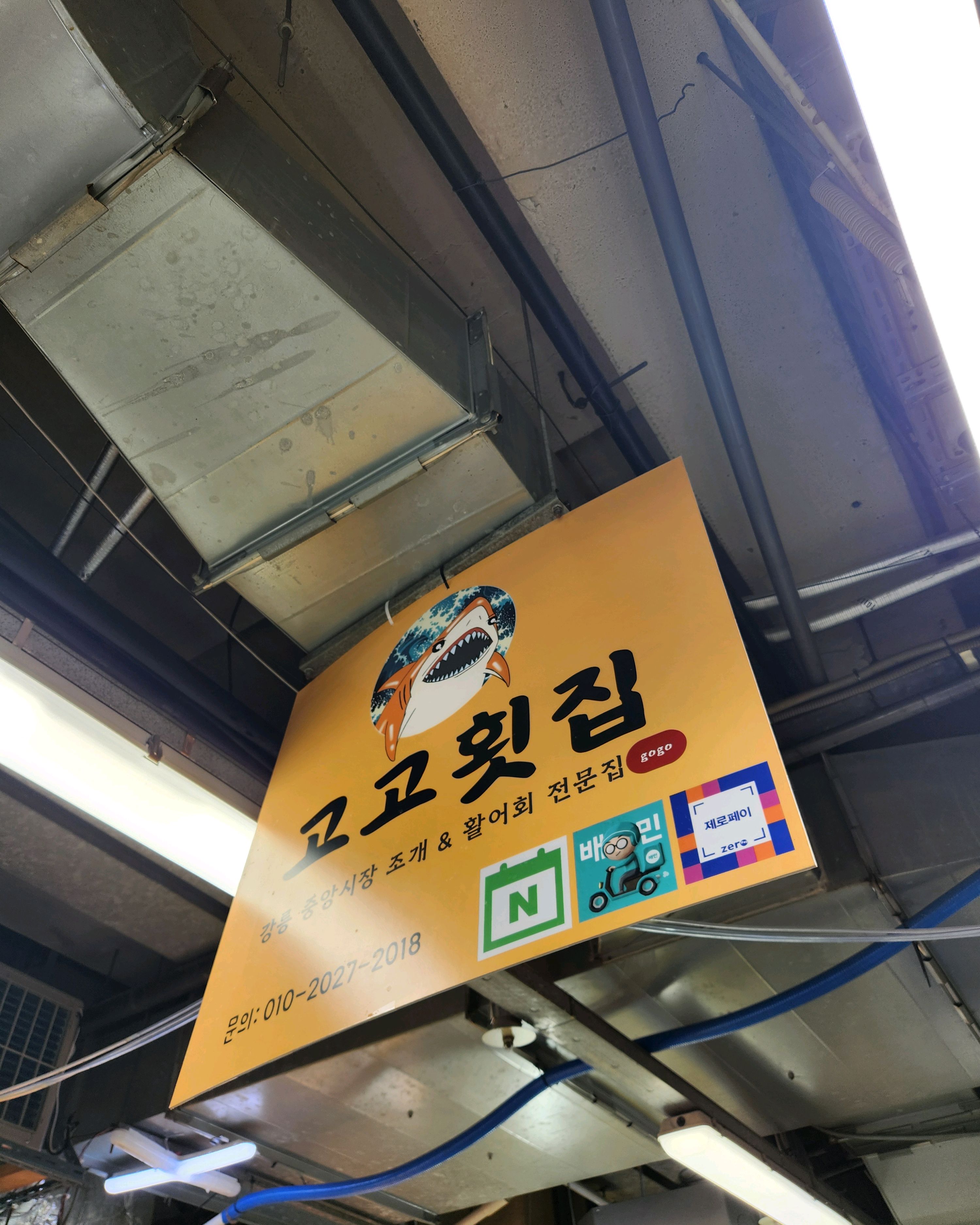 [강릉 맛집 고고횟집] 직접 가본 로컬 리뷰
