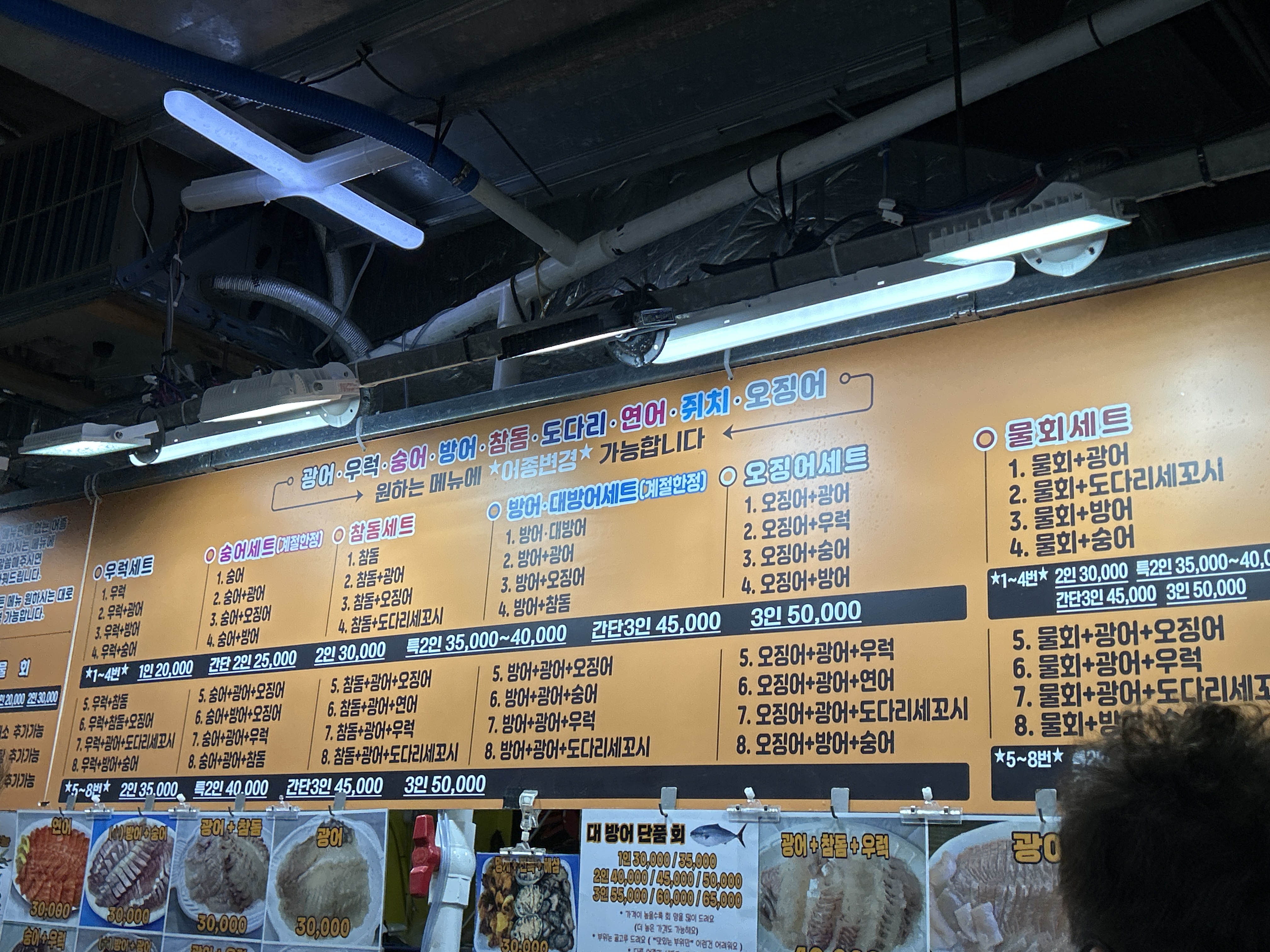 [강릉 맛집 고고횟집] 직접 가본 로컬 리뷰