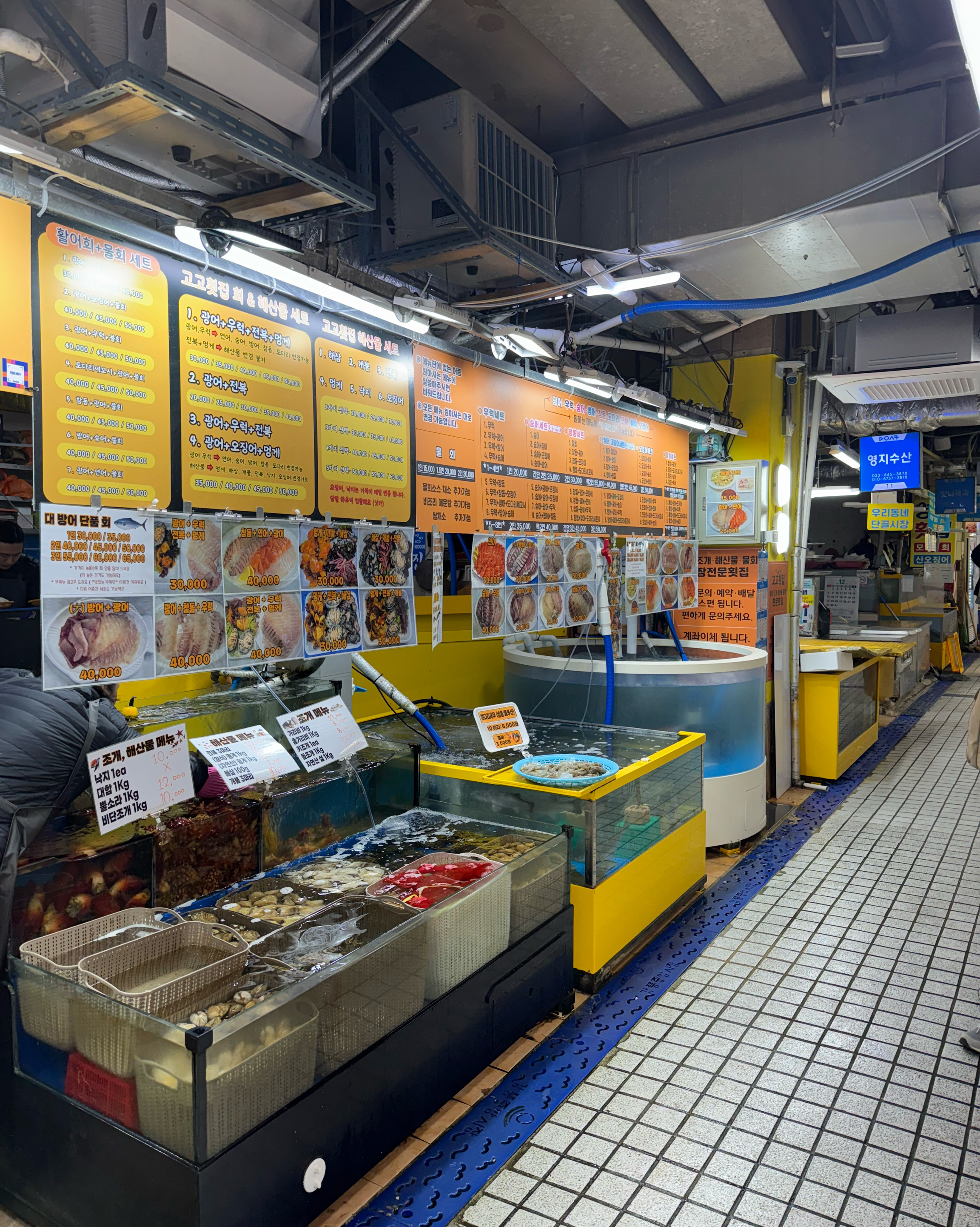 [강릉 맛집 고고횟집] 직접 가본 로컬 리뷰