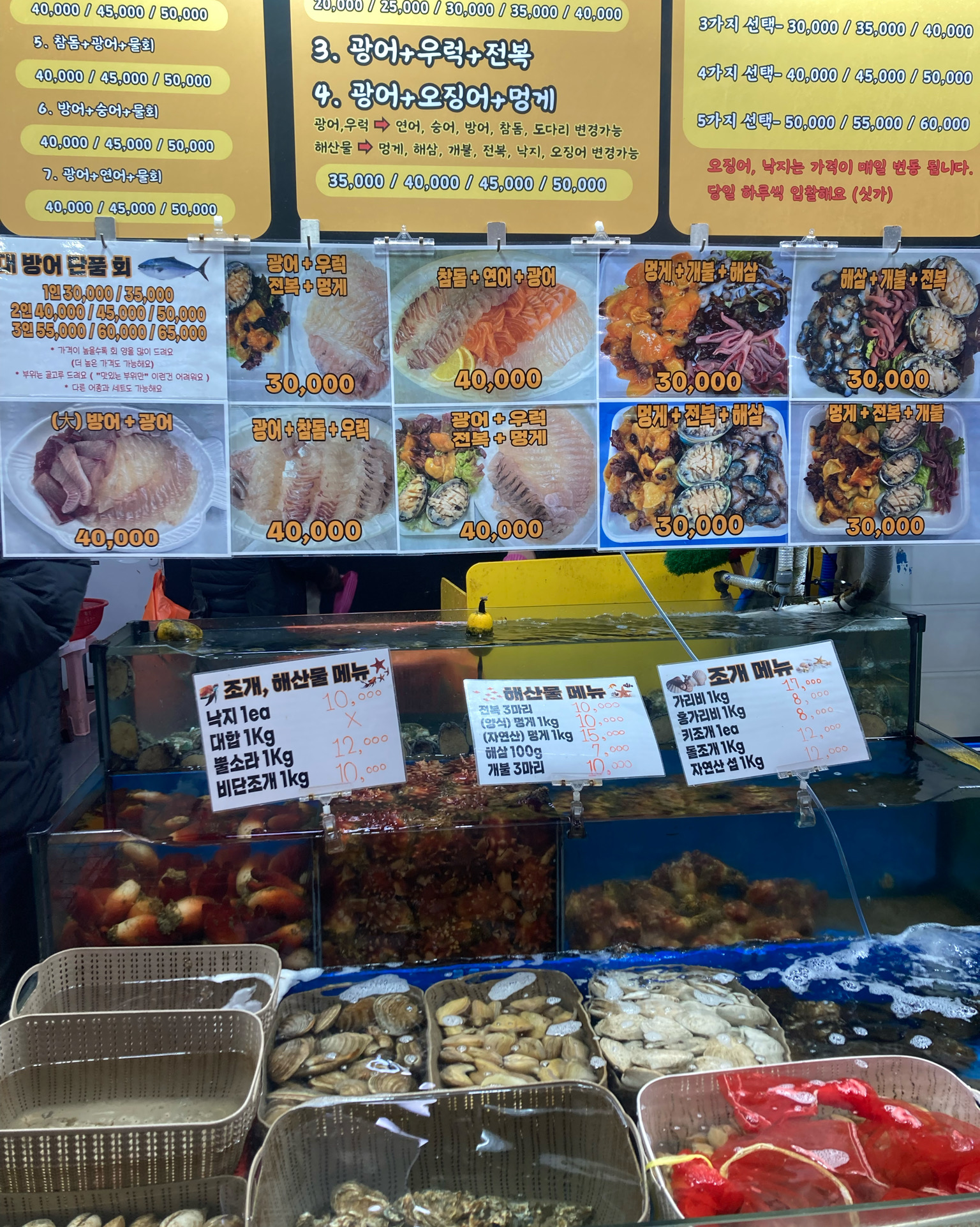 [강릉 맛집 고고횟집] 직접 가본 로컬 리뷰