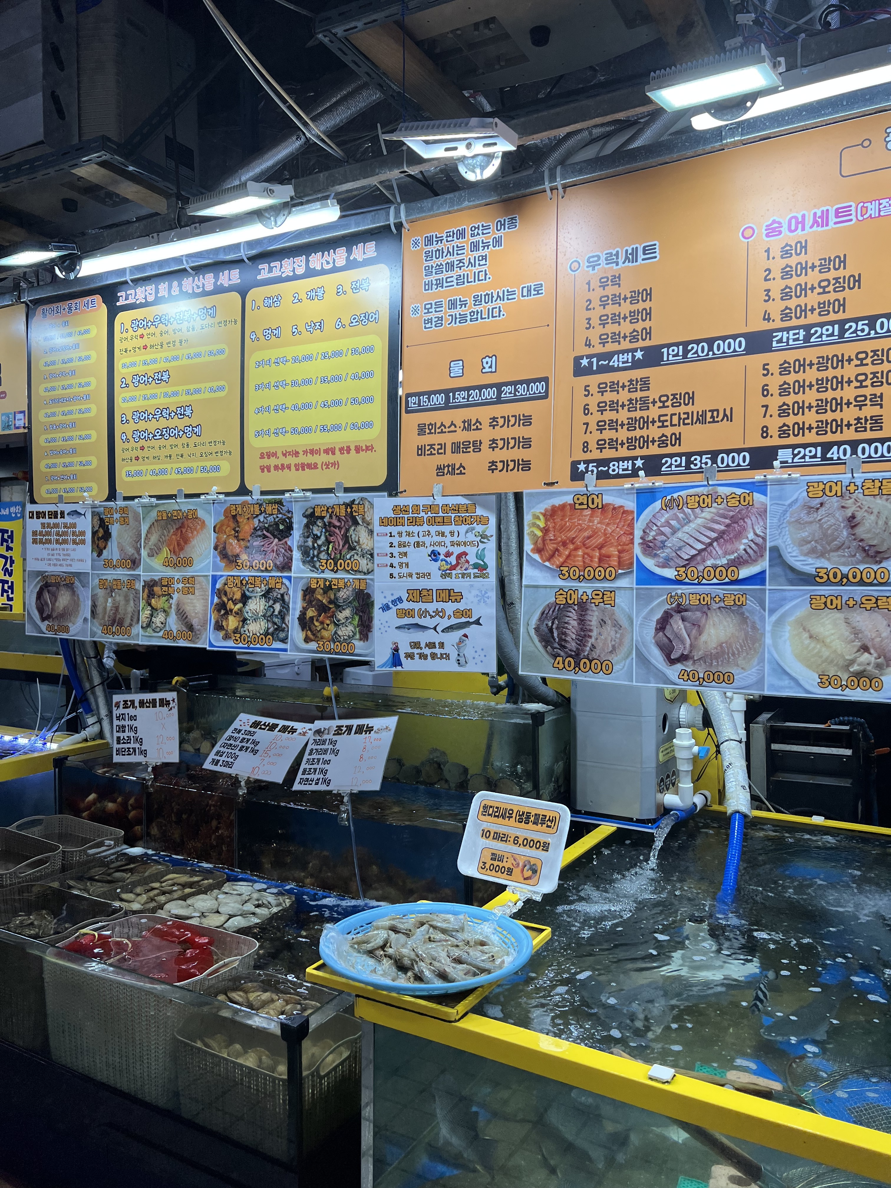 [강릉 맛집 고고횟집] 직접 가본 로컬 리뷰