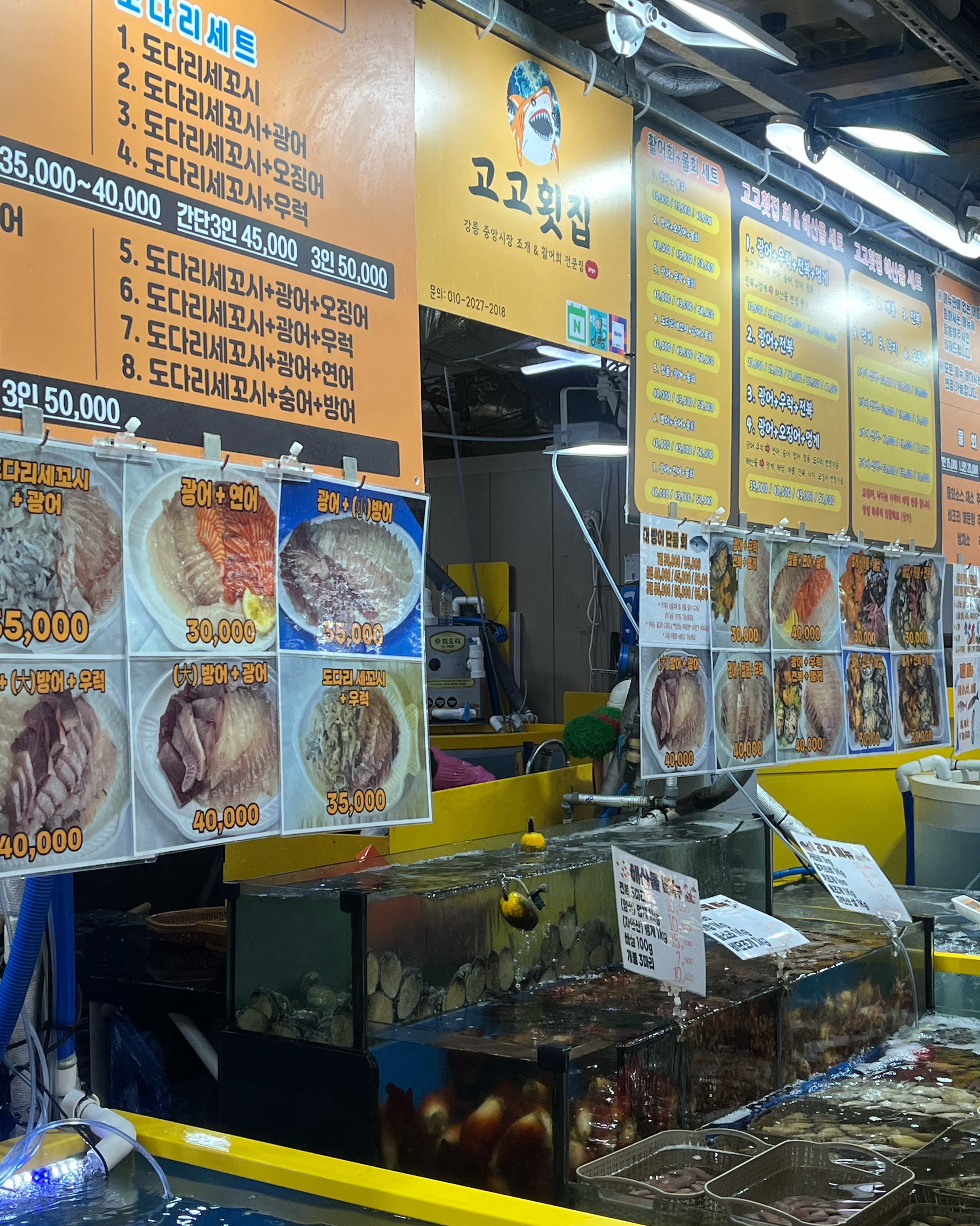 [강릉 맛집 고고횟집] 직접 가본 로컬 리뷰