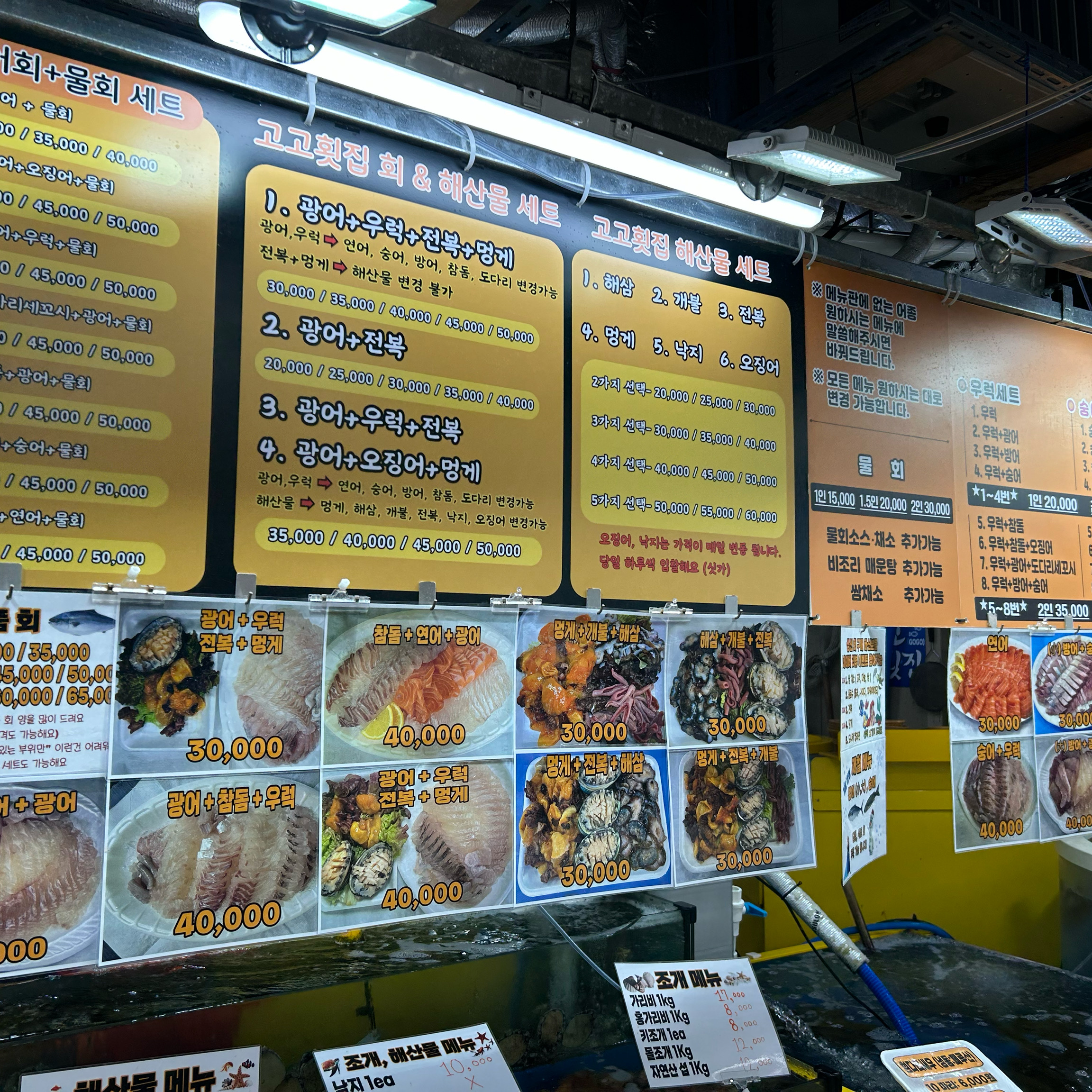 [강릉 맛집 고고횟집] 직접 가본 로컬 리뷰