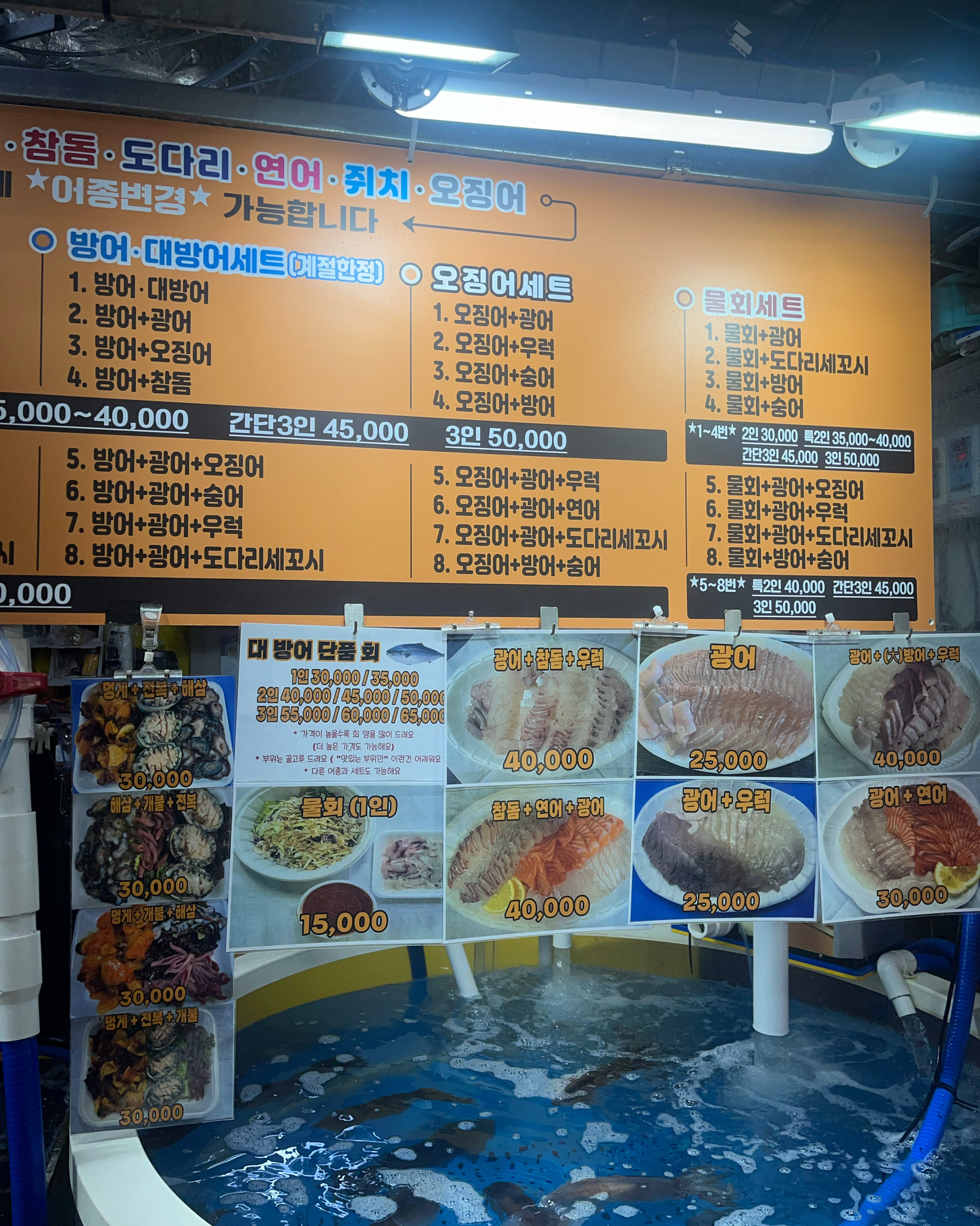 [강릉 맛집 고고횟집] 직접 가본 로컬 리뷰