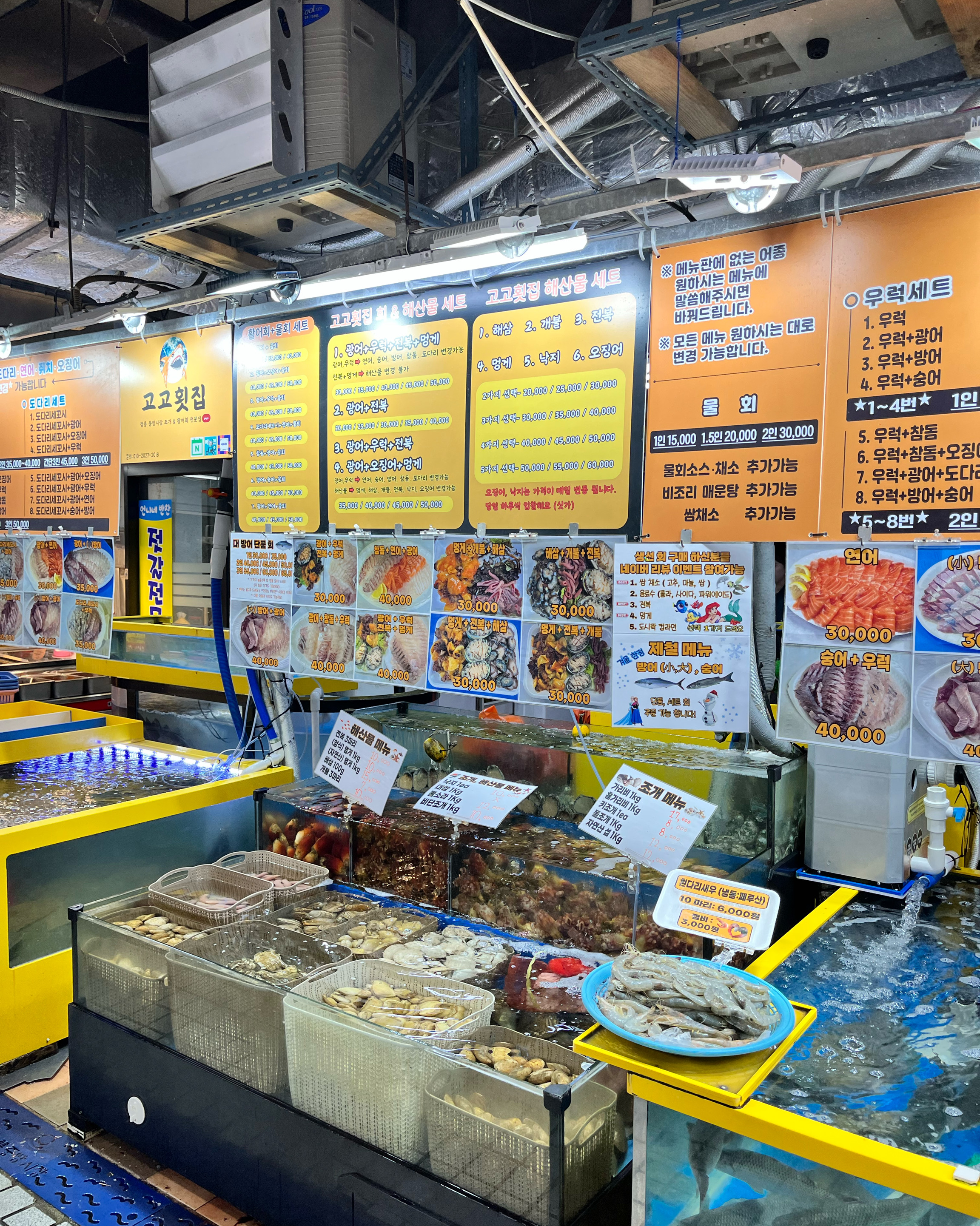 [강릉 맛집 고고횟집] 직접 가본 로컬 리뷰