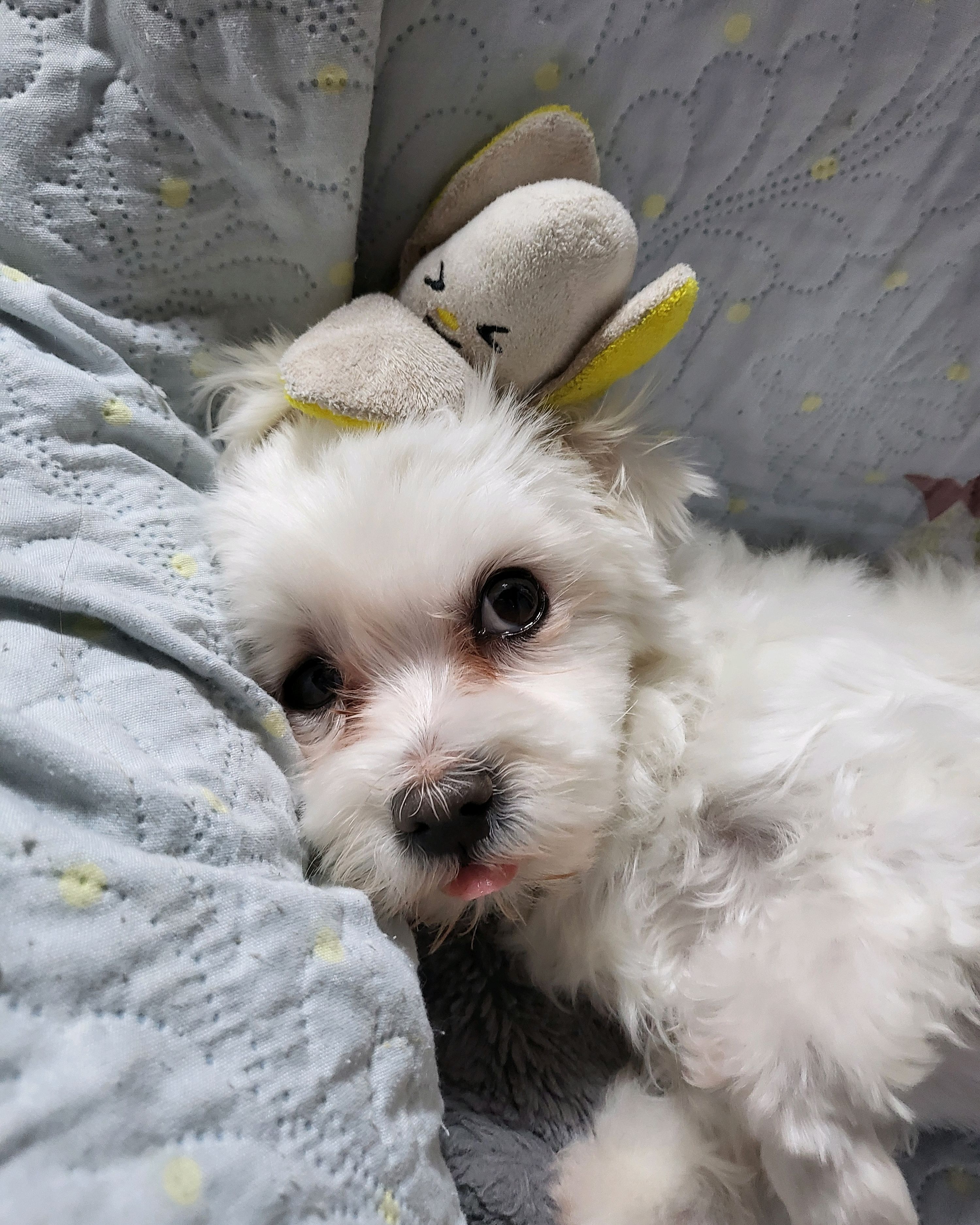 리뷰 사진 1