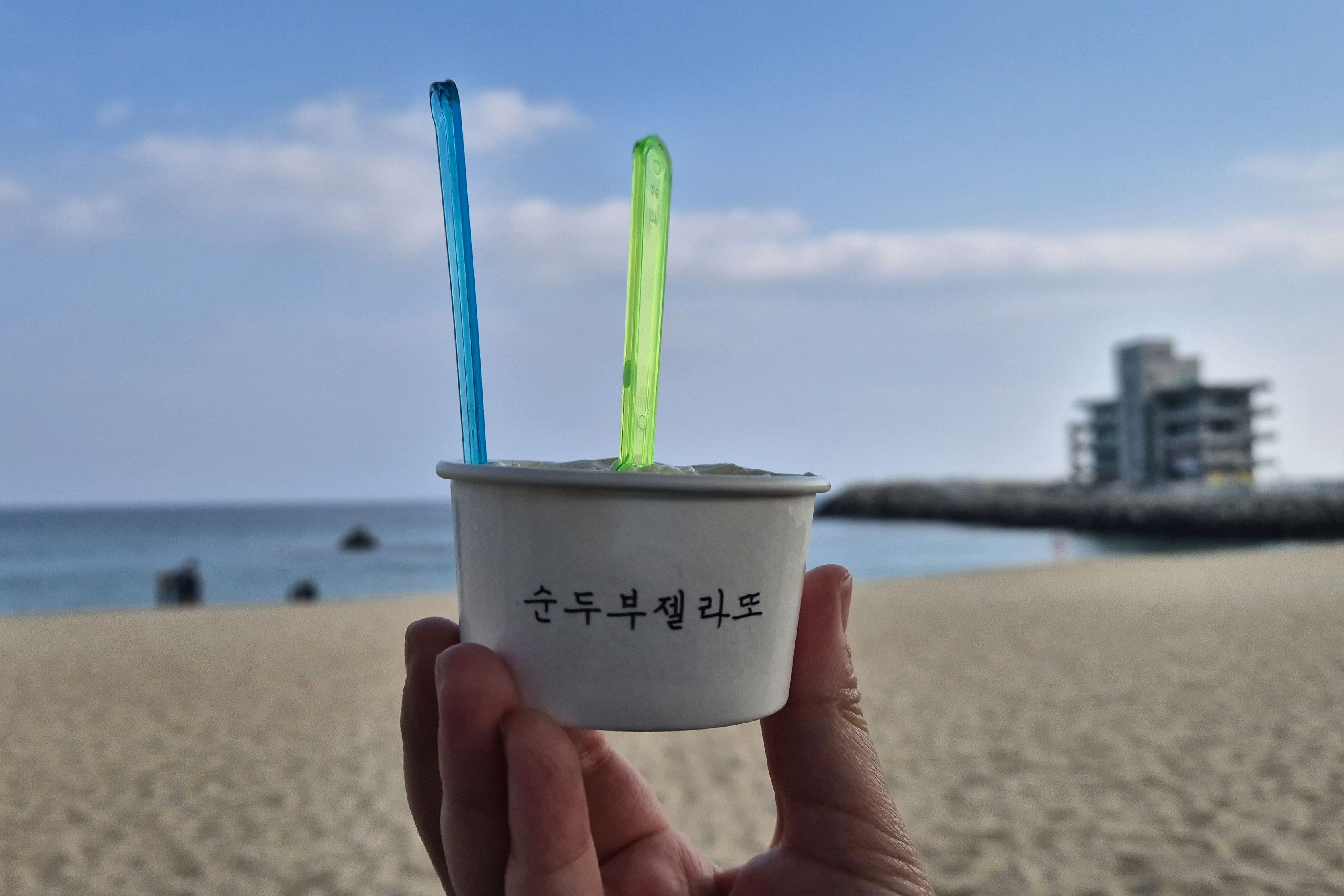 [강릉 맛집 순두부젤라또 2호점] 직접 가본 로컬 리뷰