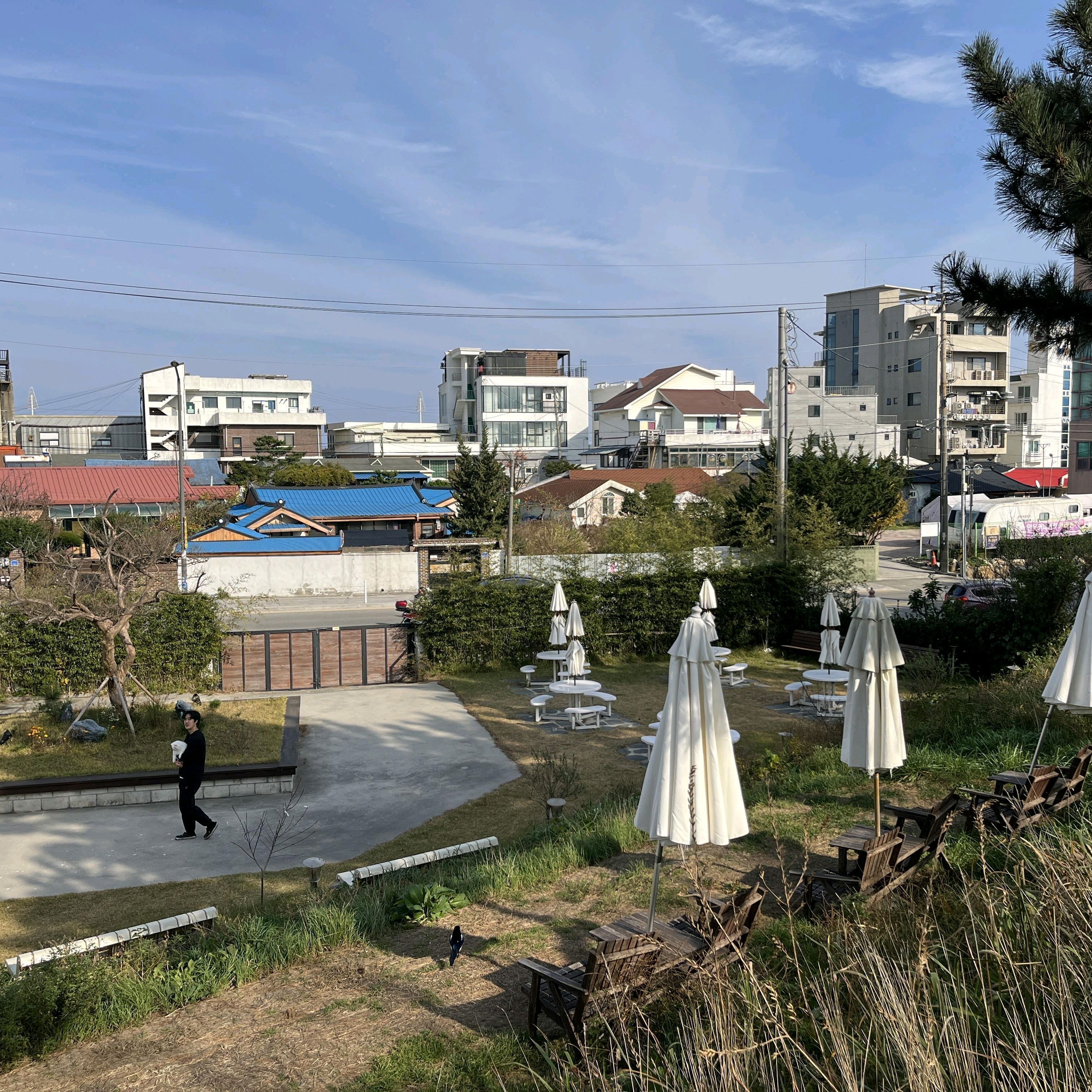 [강릉 맛집 순두부젤라또 2호점] 직접 가본 로컬 리뷰