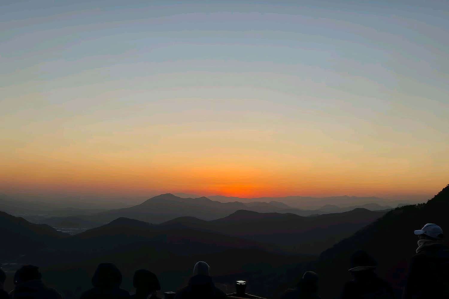 서울정형외과의원