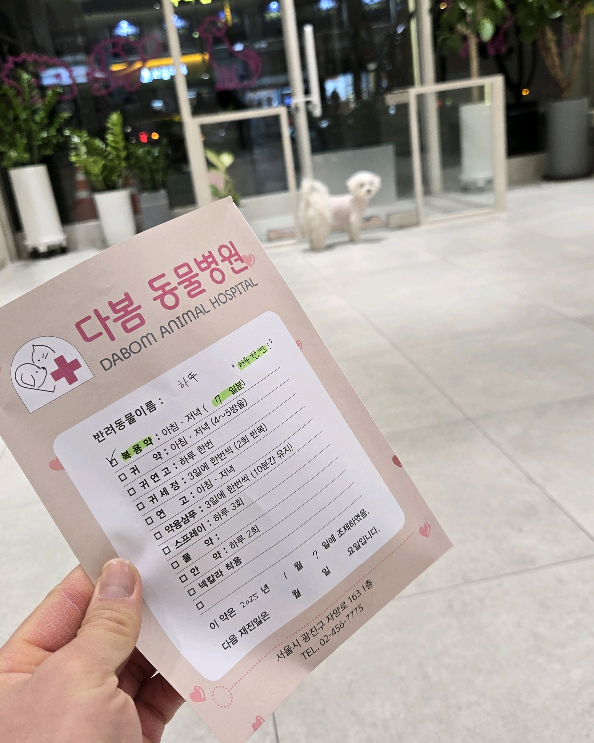 리뷰 사진 1