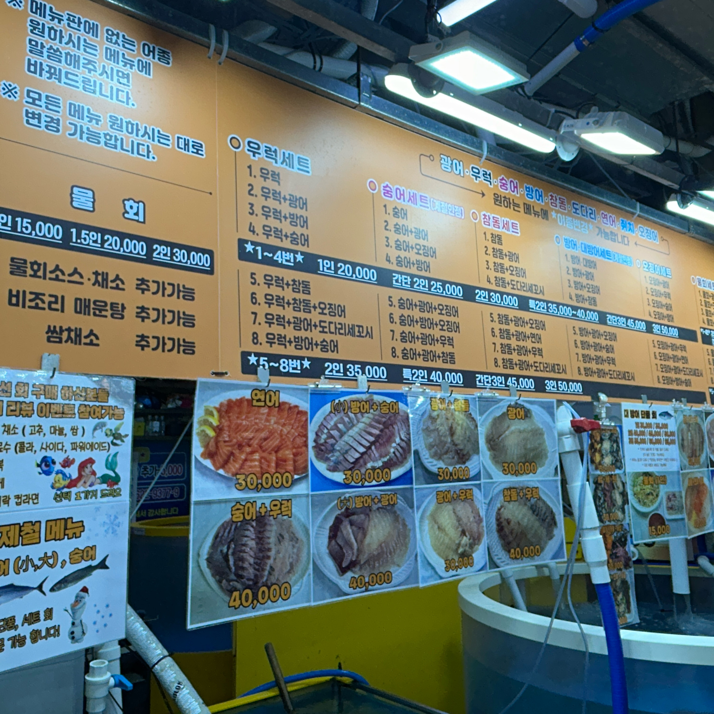 [강릉 맛집 고고횟집] 직접 가본 로컬 리뷰