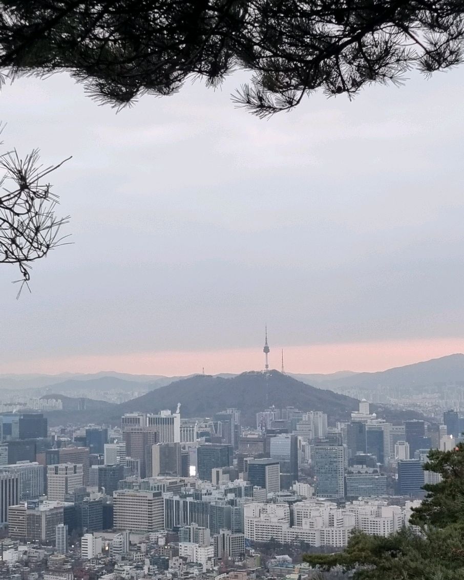 [명동 맛집 초류향] 직접 가본 로컬 리뷰