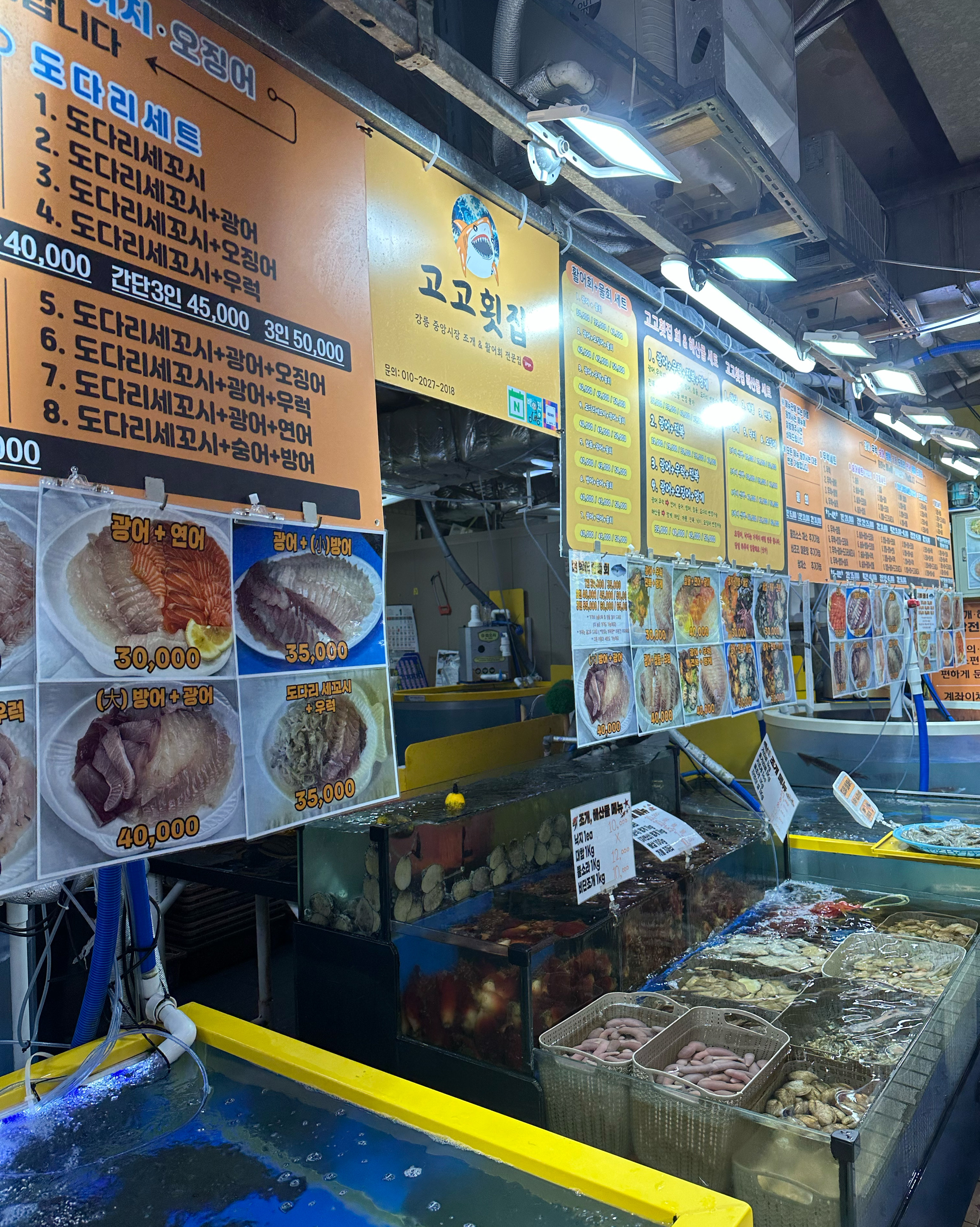 [강릉 맛집 고고횟집] 직접 가본 로컬 리뷰