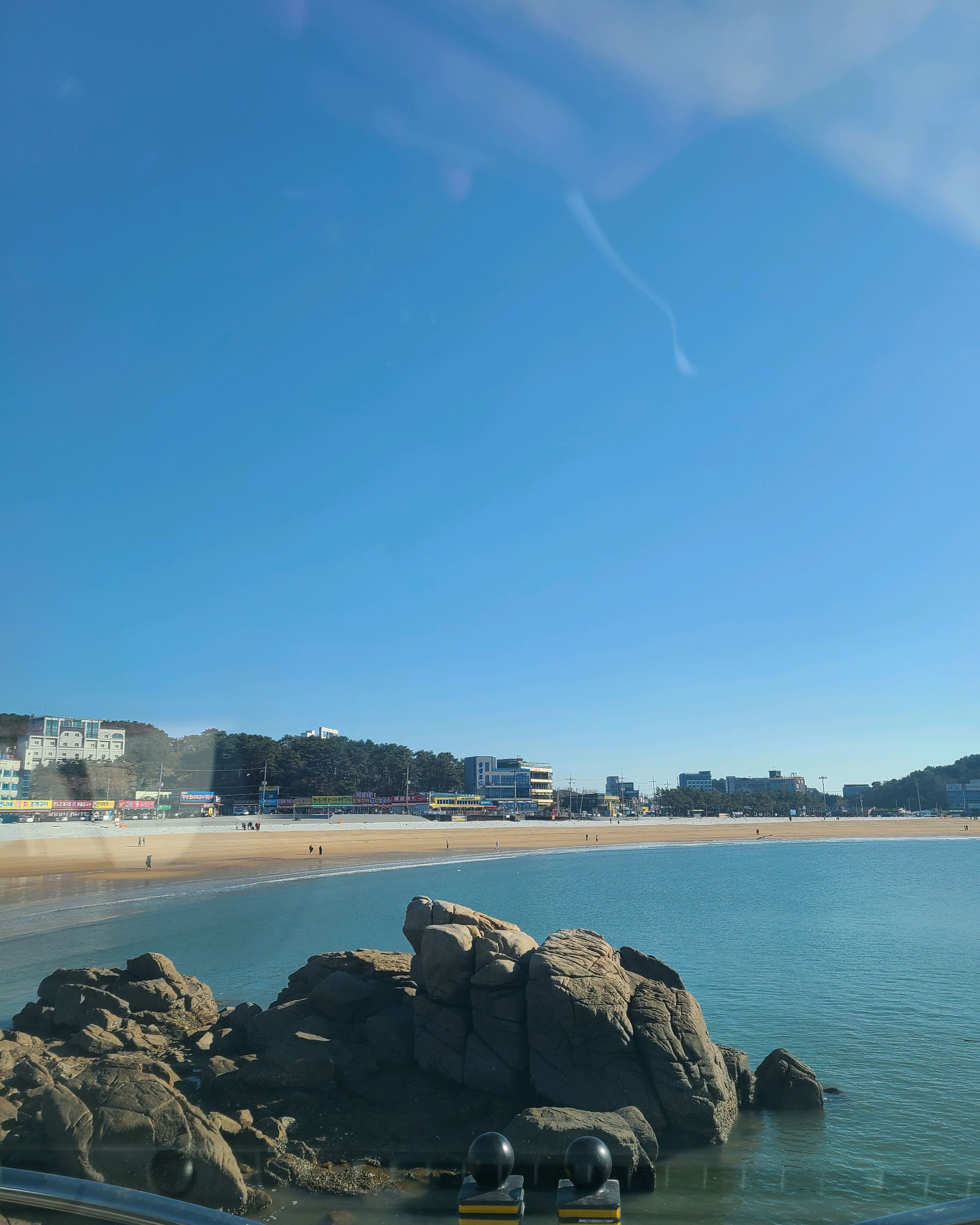 [인천공항 맛집 버거킹 인천공항교통센터1점] 직접 가본 로컬 리뷰