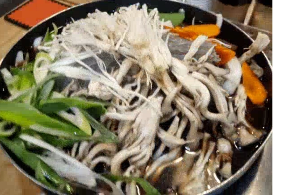 [춘천 맛집 뚜레한우 춘천점] 직접 가본 로컬 리뷰