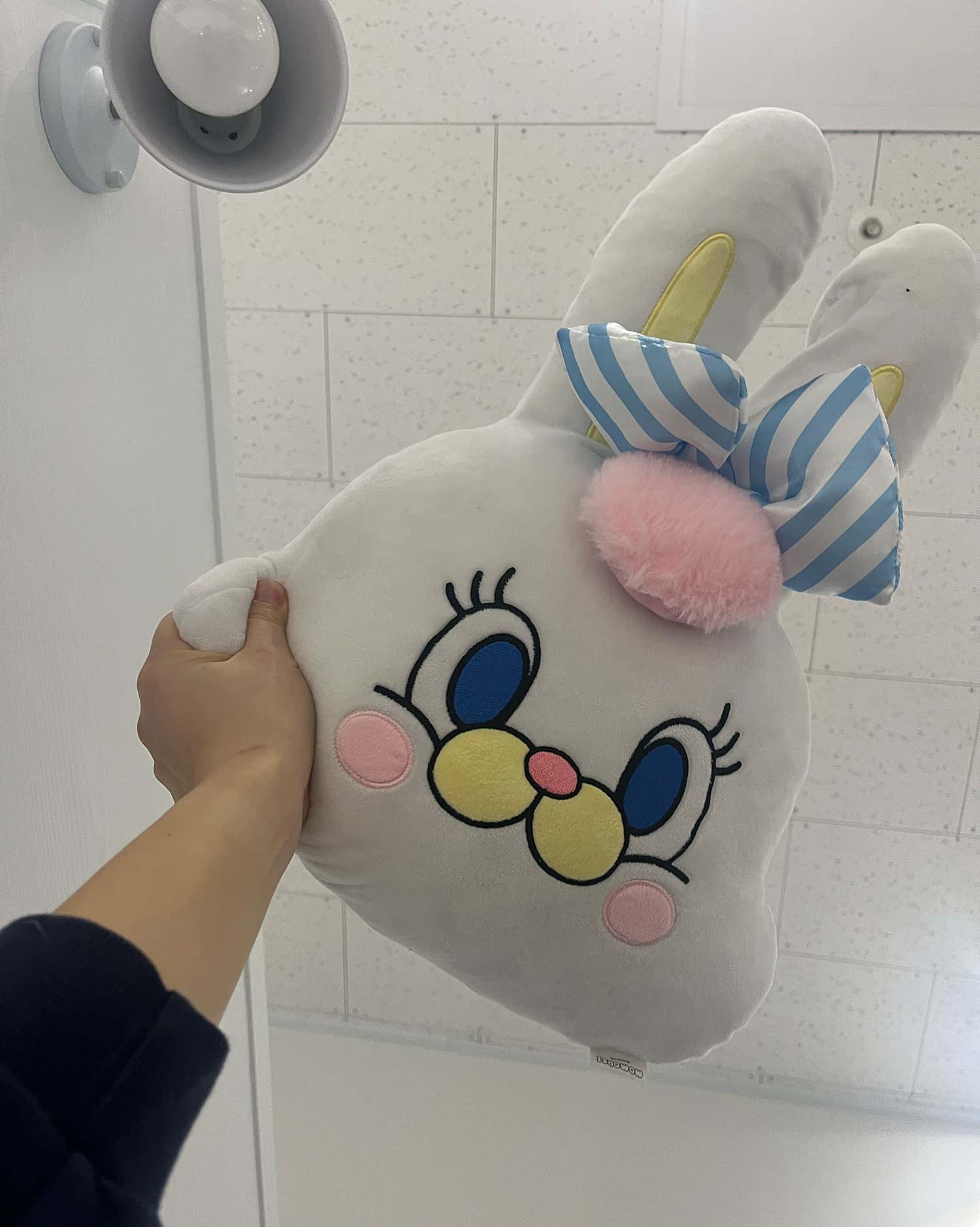 로이스의원