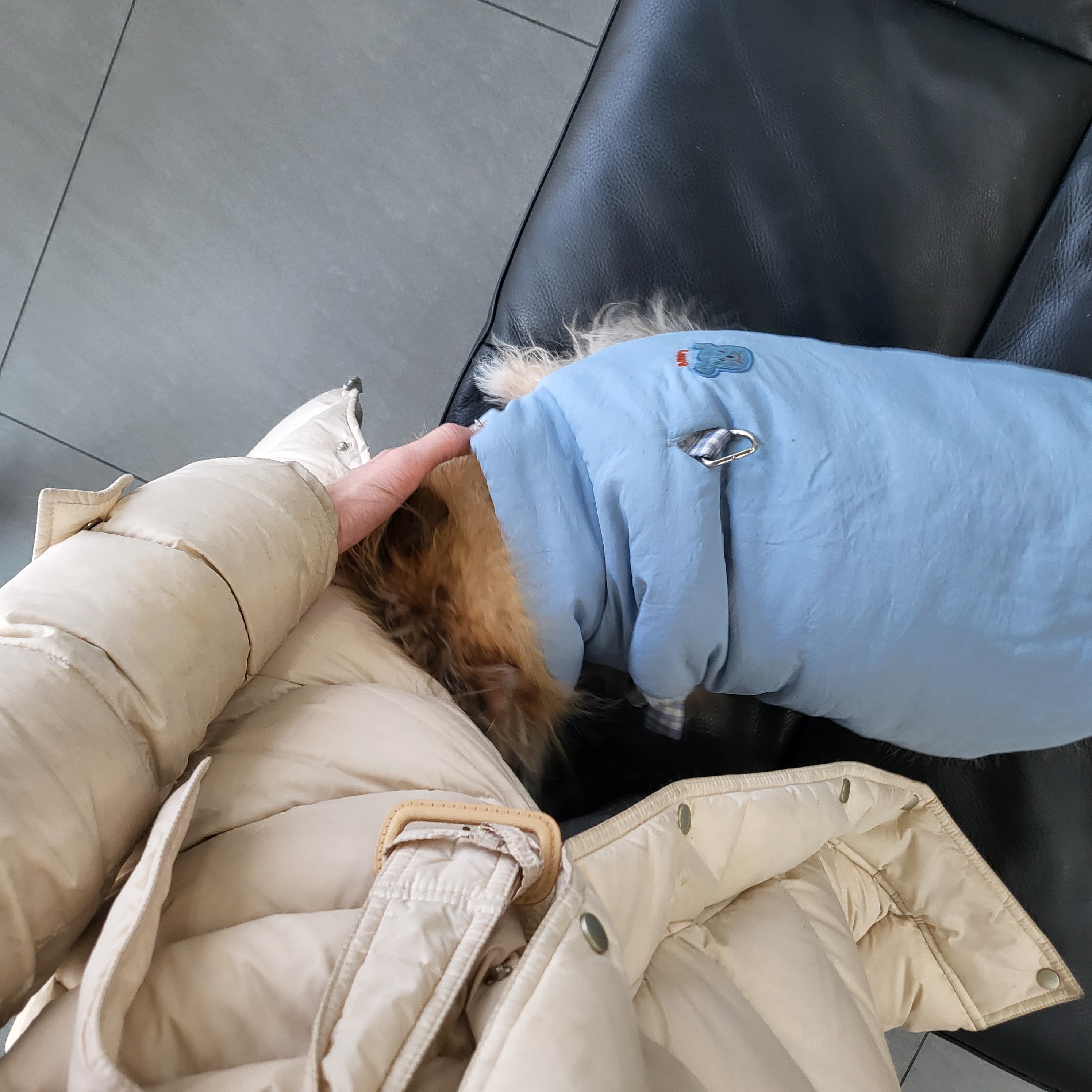리뷰 사진 1