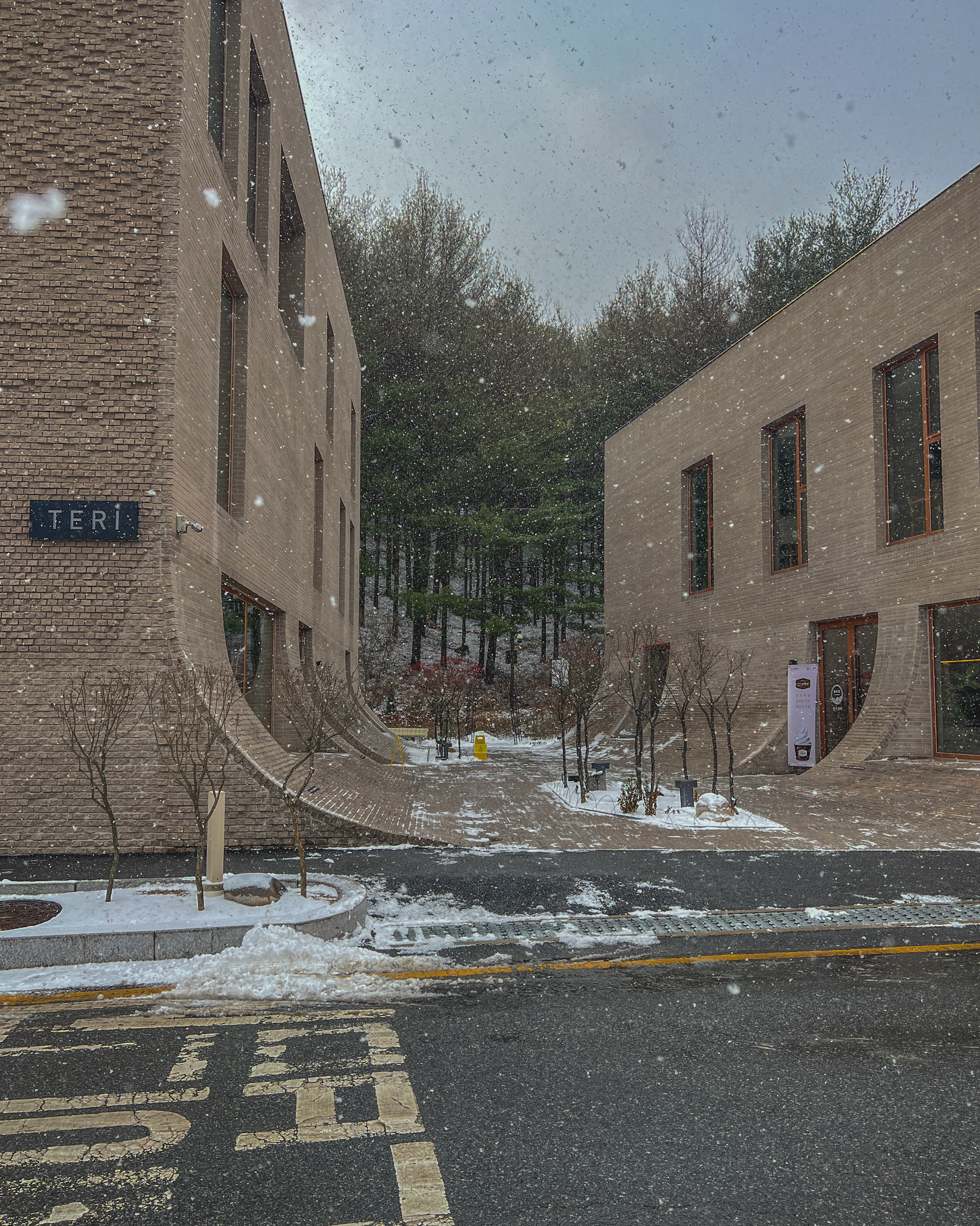 날씨 쨍할때 방문하고 싶은 곳이였는데 대전 간김에 그냥 가봤더니 눈 오는 날 방문하길 너무