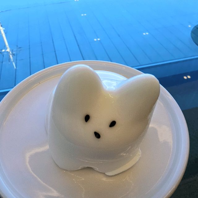 [강릉 맛집 갈매기다방] 직접 가본 로컬 리뷰