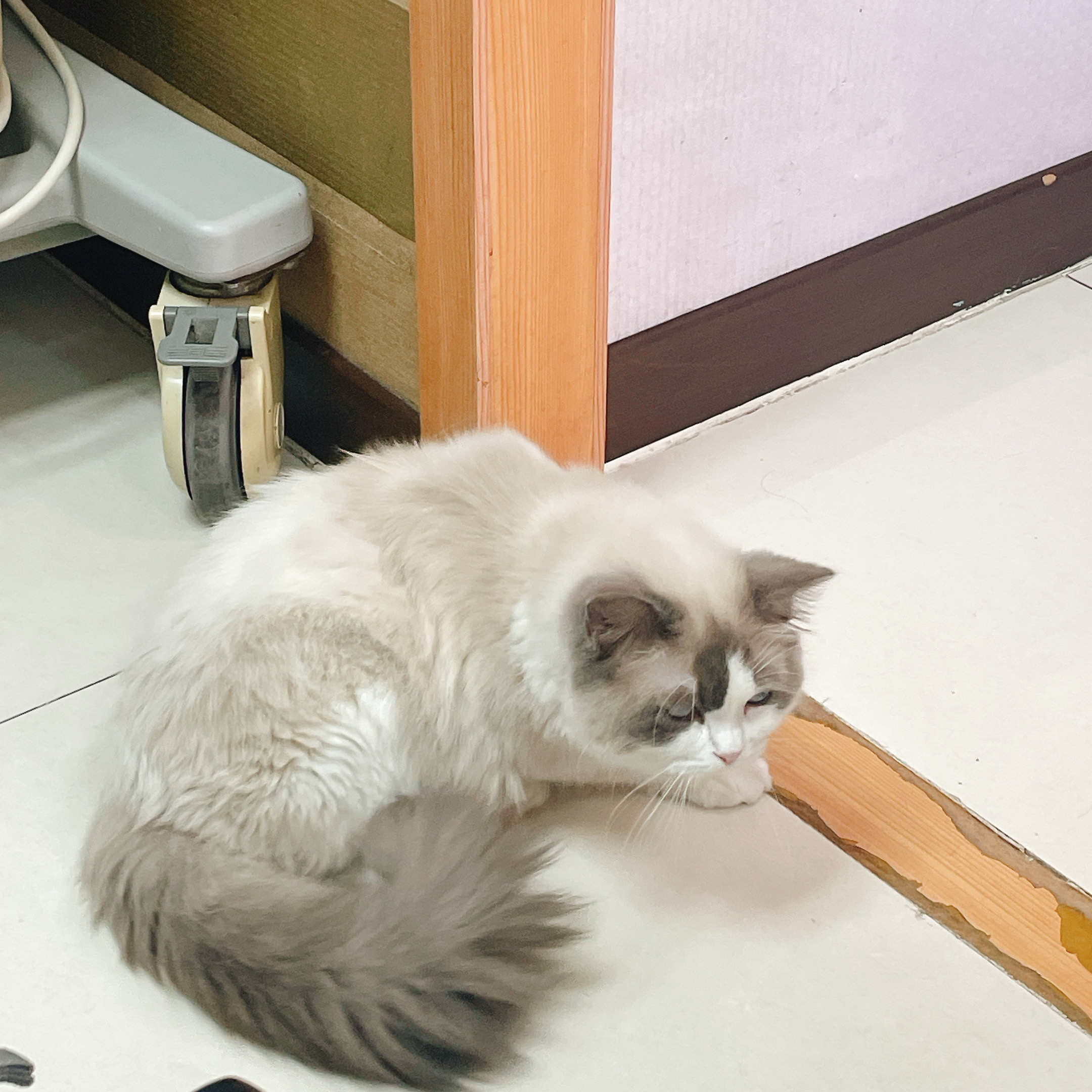 리뷰 사진 1