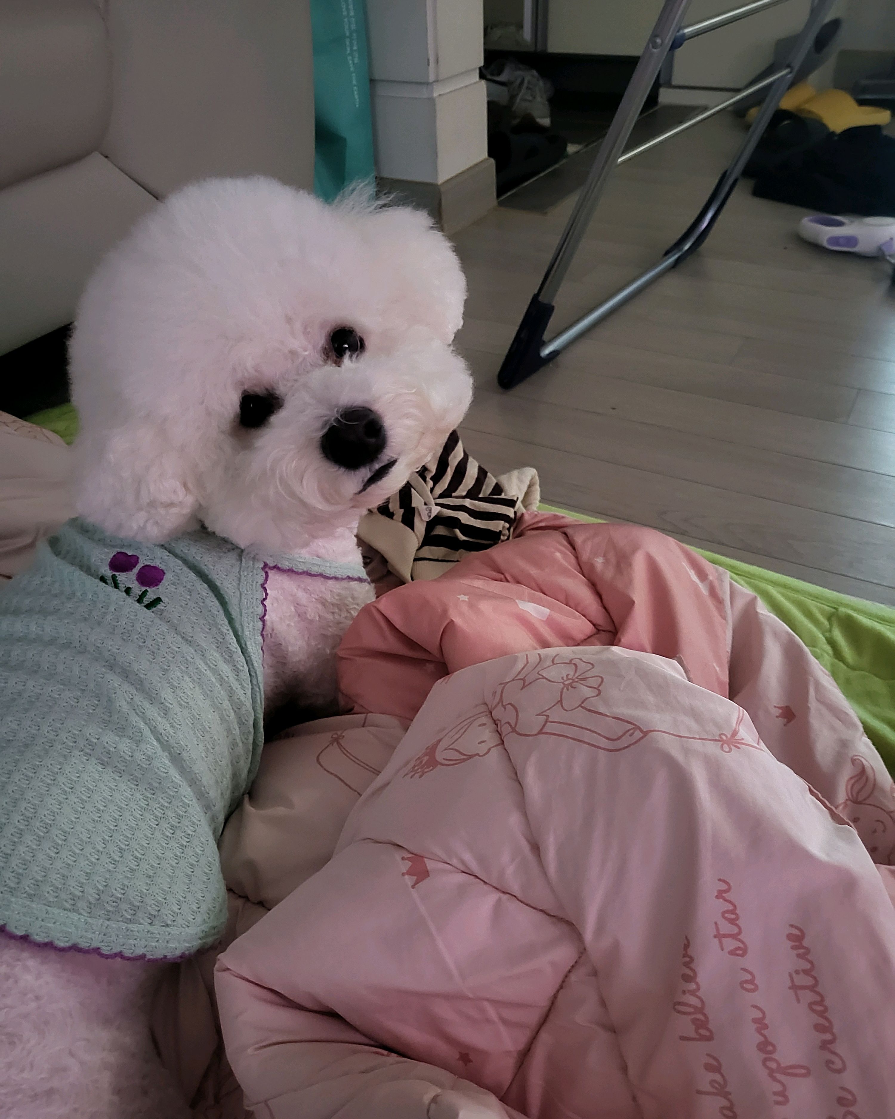 리뷰 사진 1