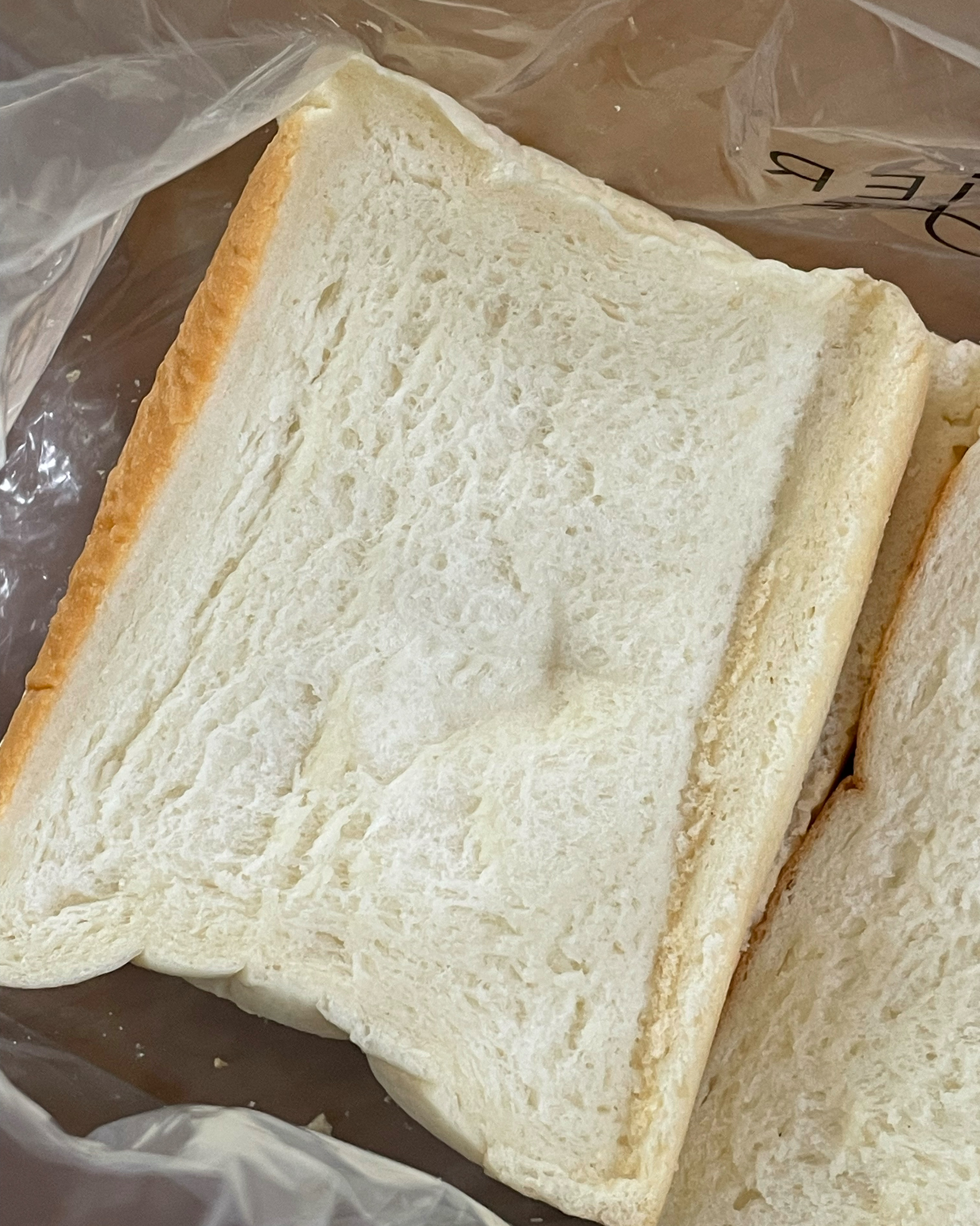 정자역 맛집 화이트리에 정자점 내돈내산 방문후기