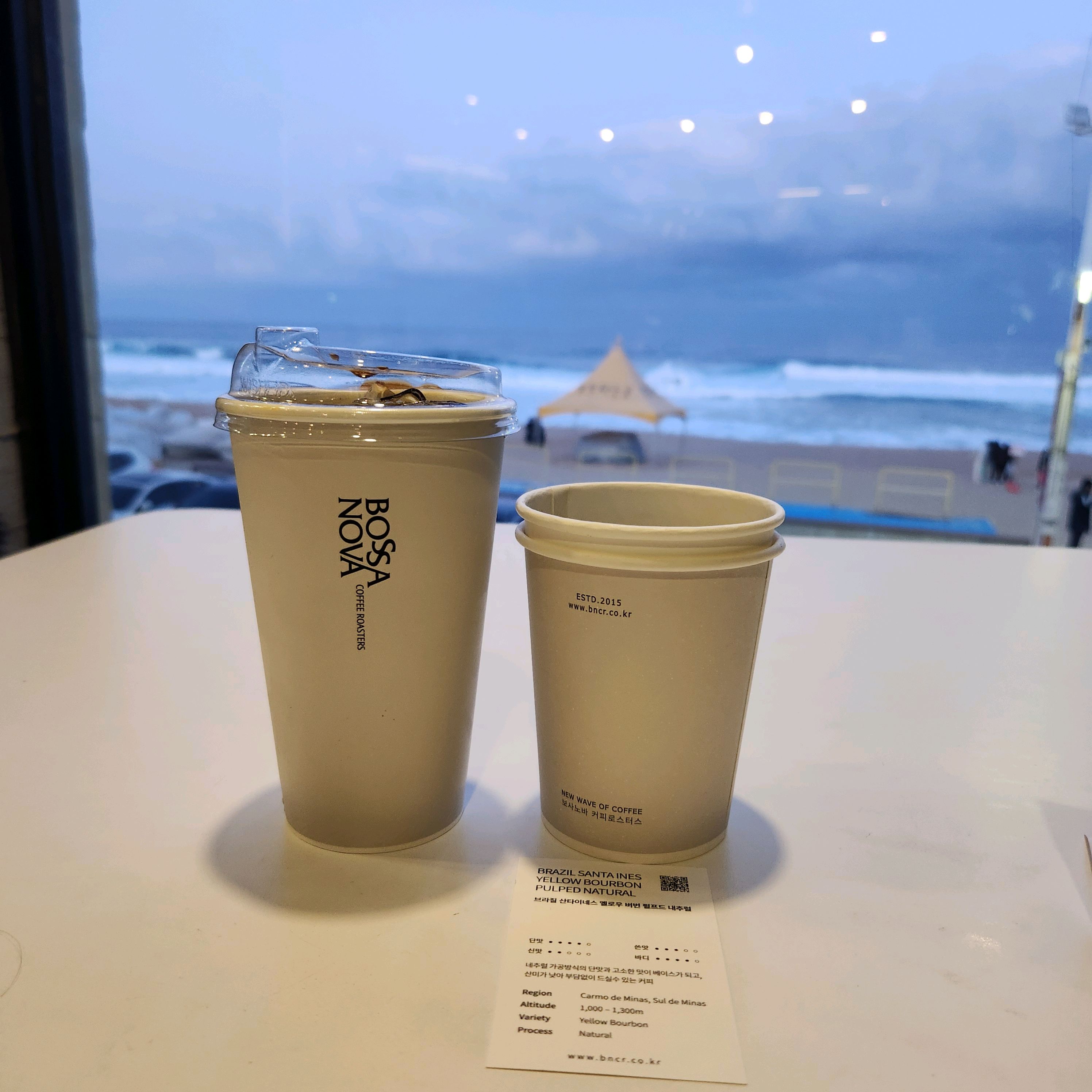 [강릉 맛집 보사노바 커피로스터스 강릉점] 직접 가본 로컬 리뷰