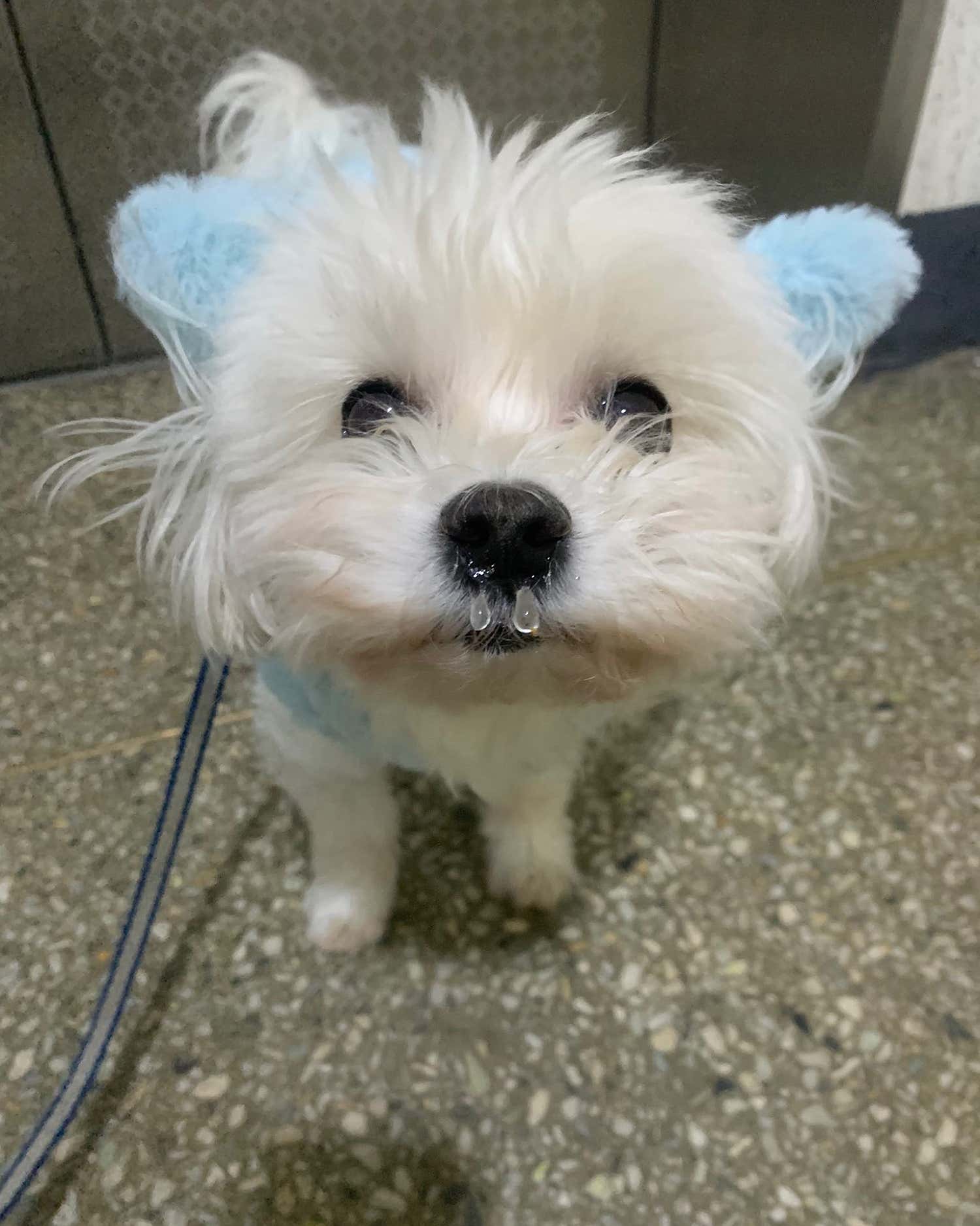 테스내과의원