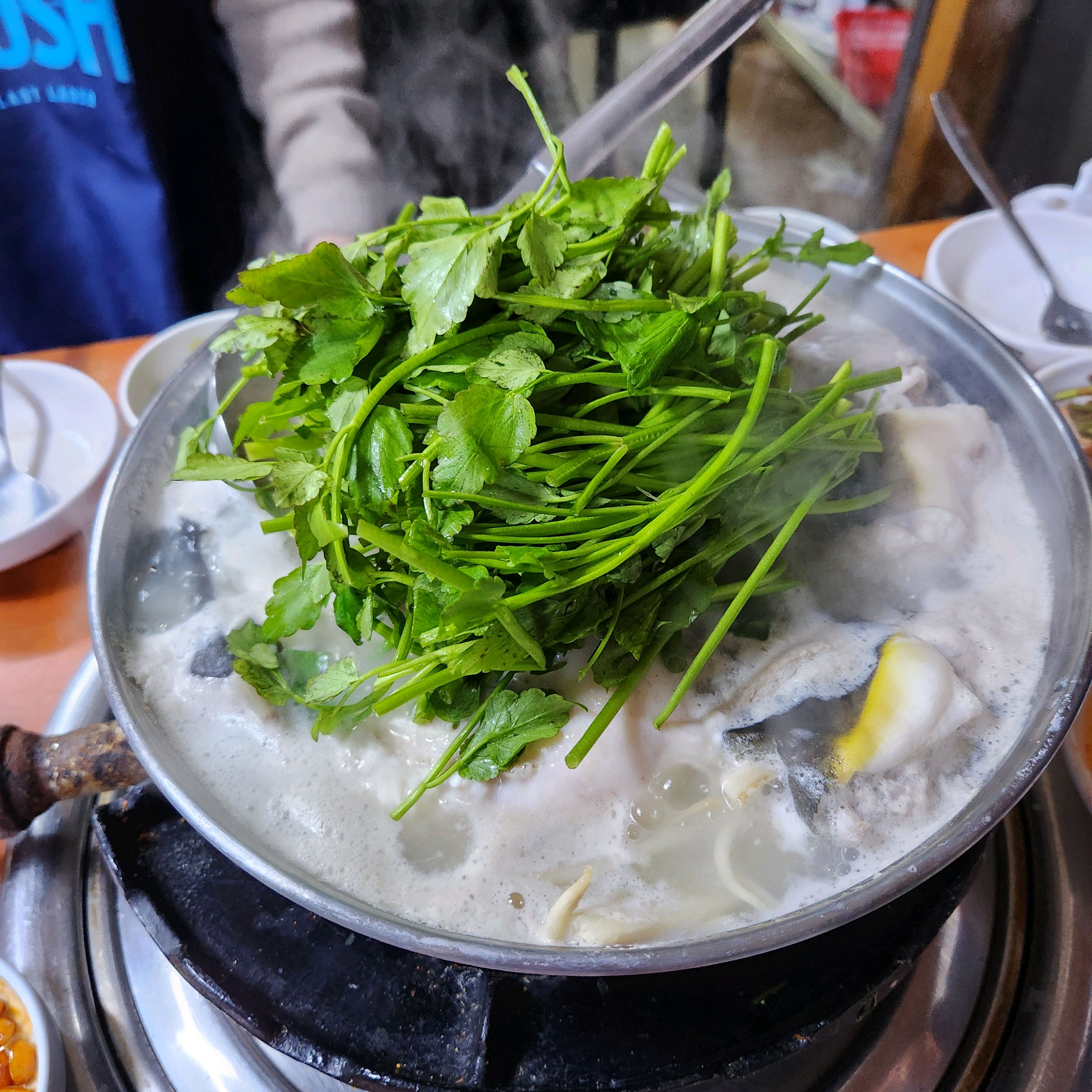 [명동 맛집 철철복집] 직접 가본 로컬 리뷰