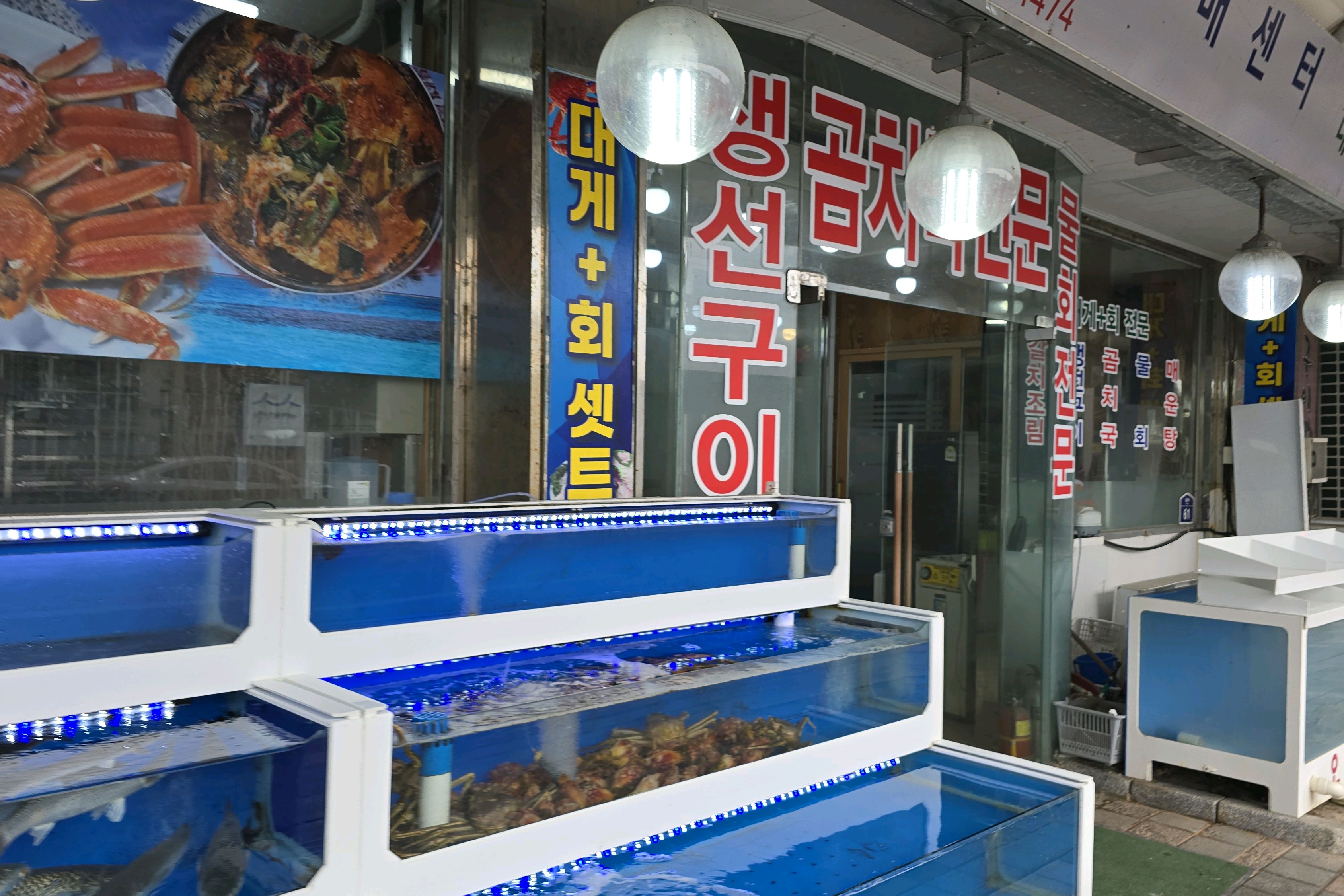 [동해 맛집 동해안회대게도매센터] 직접 가본 로컬 리뷰