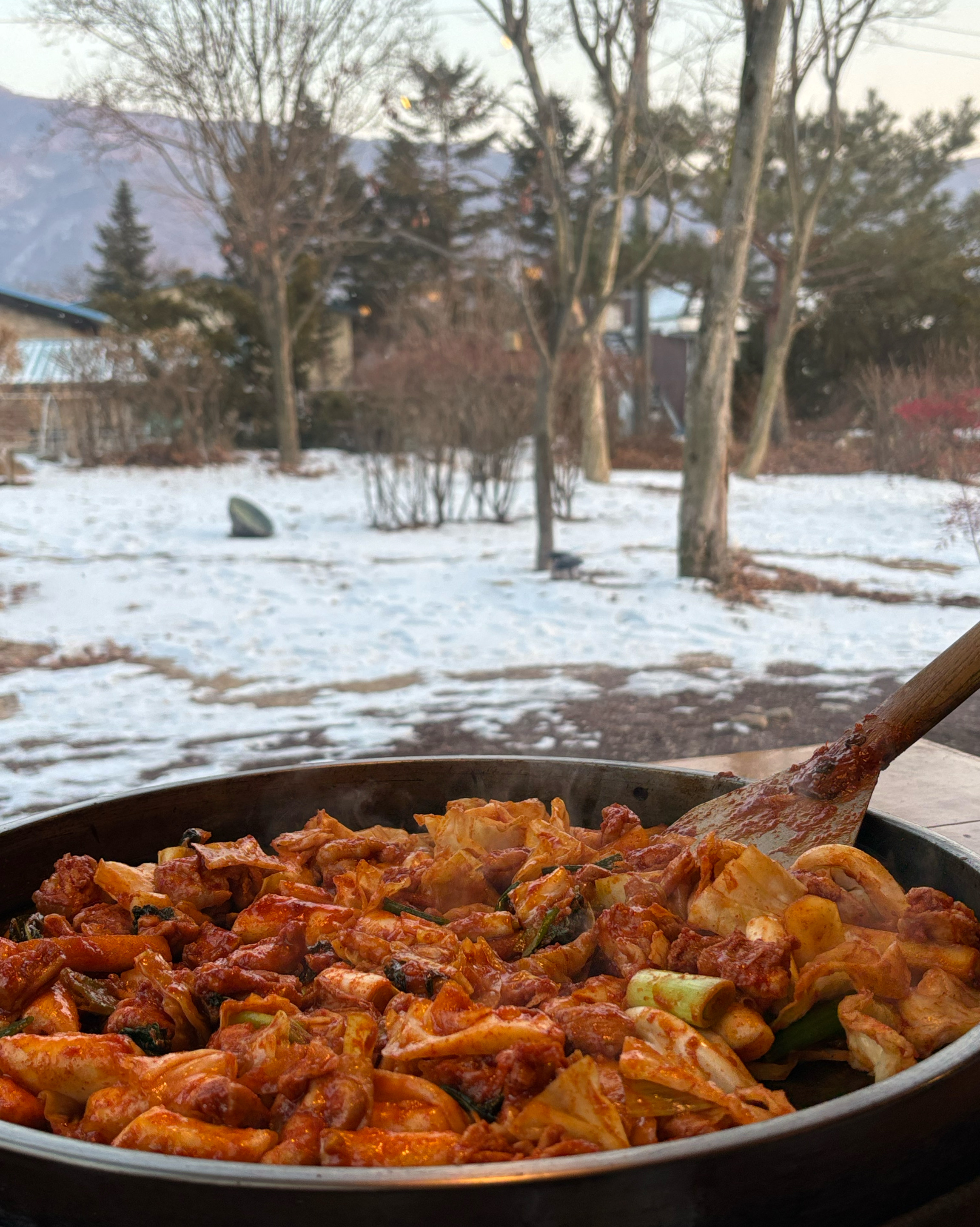 [춘천 맛집 메이플가든 닭갈비] 직접 가본 로컬 리뷰