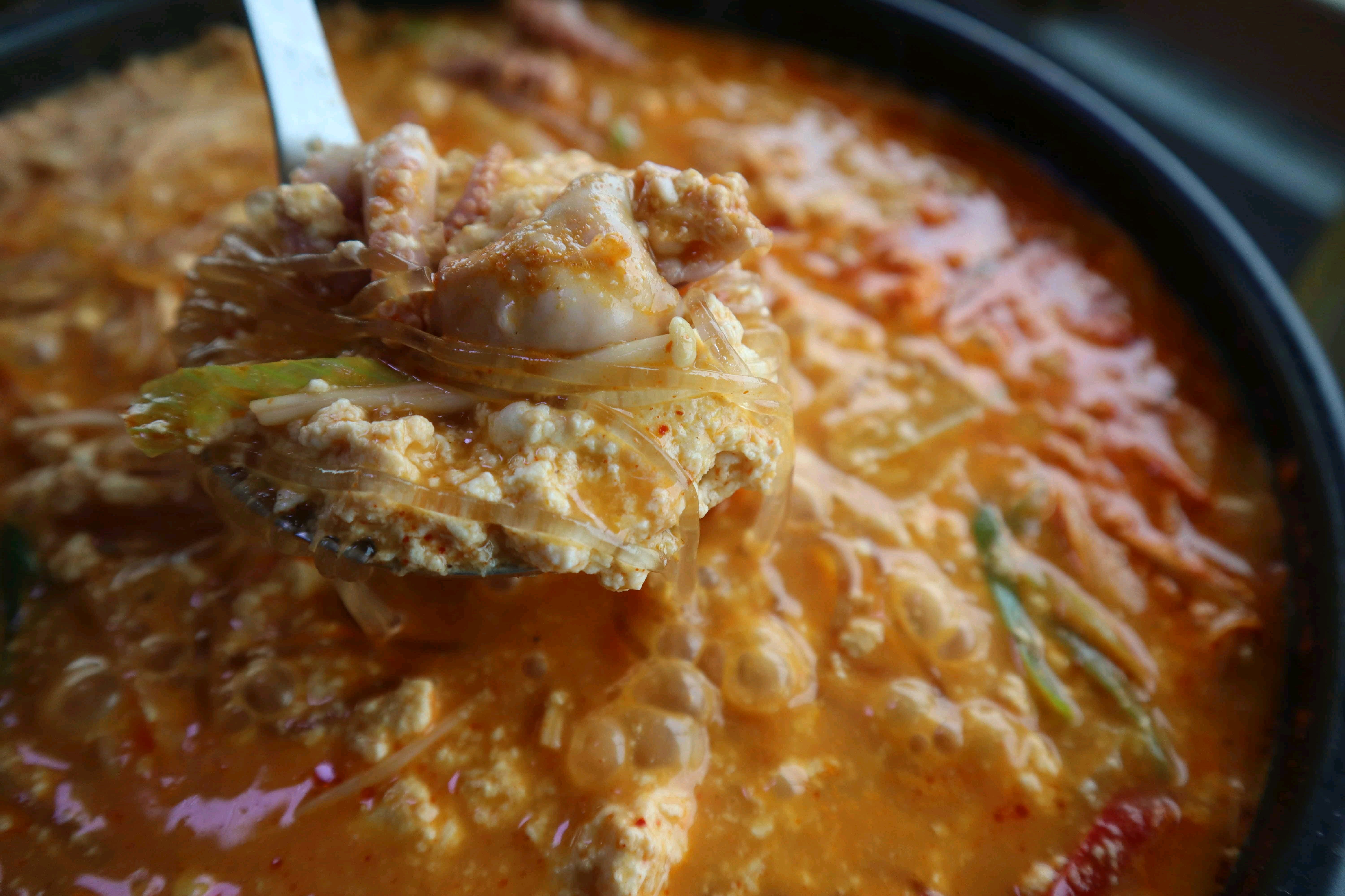 [강릉 맛집 농촌순두부] 직접 가본 로컬 리뷰