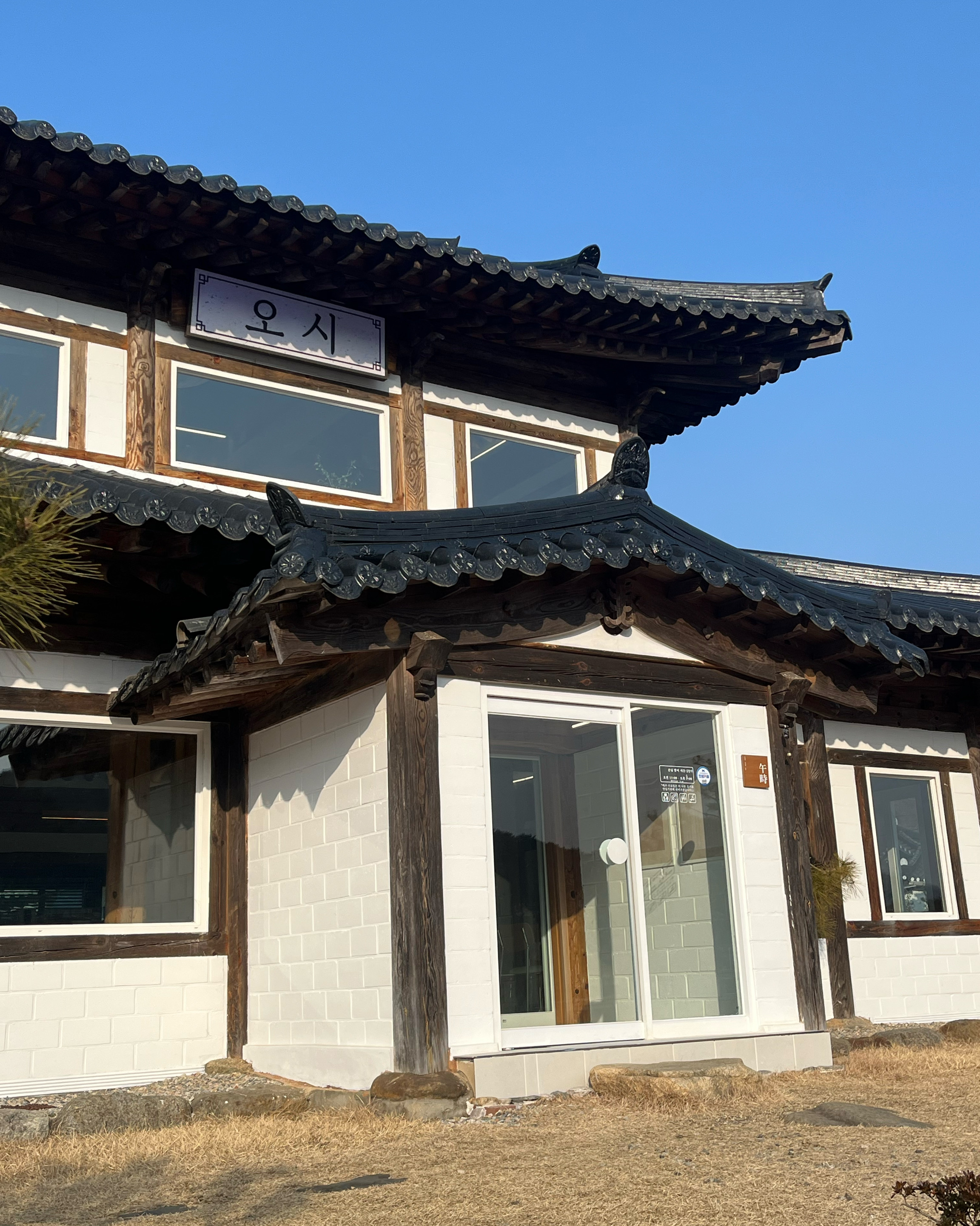 [삼척 맛집 한옥카페 오시] 직접 가본 로컬 리뷰