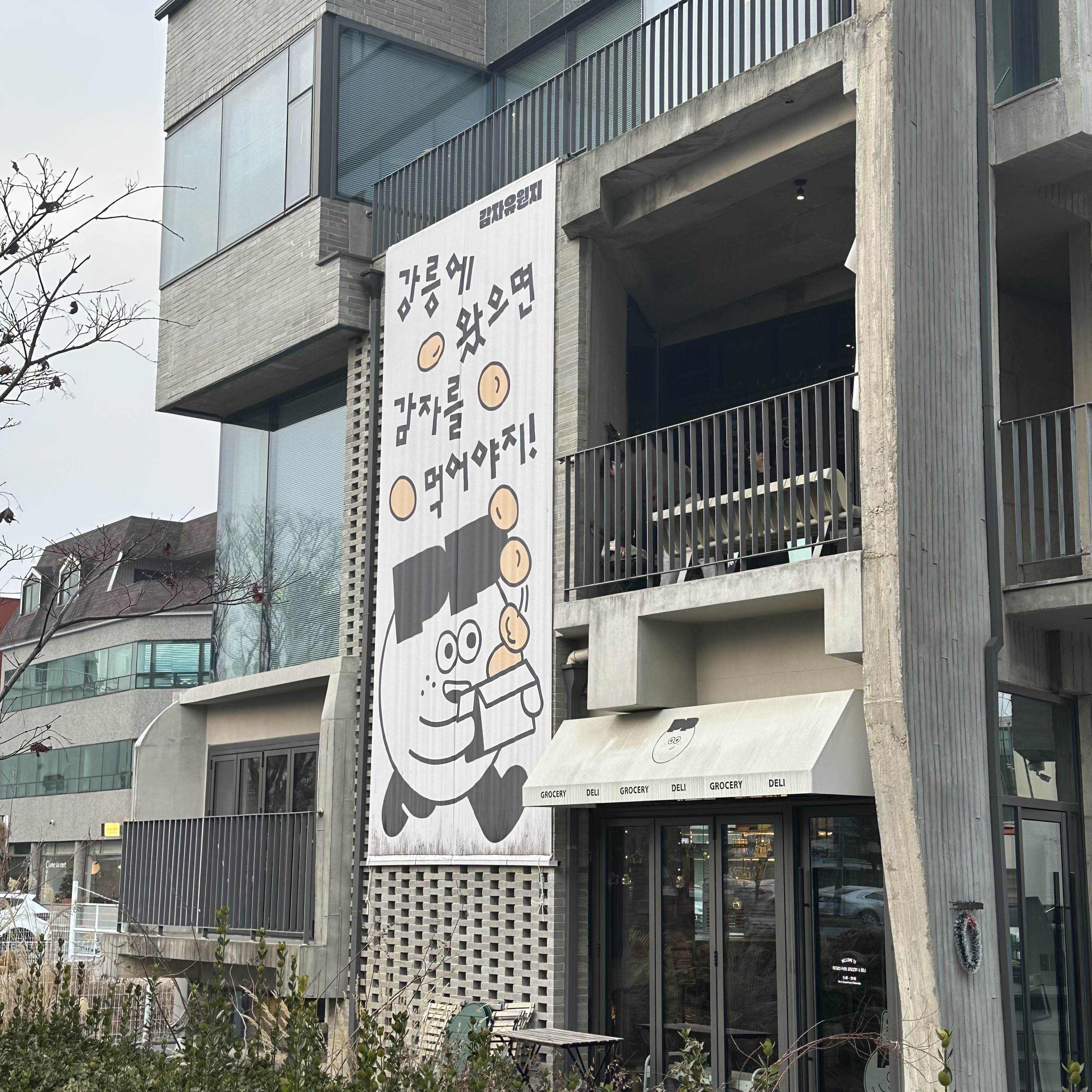 [강릉 맛집 감자유원지] 직접 가본 로컬 리뷰