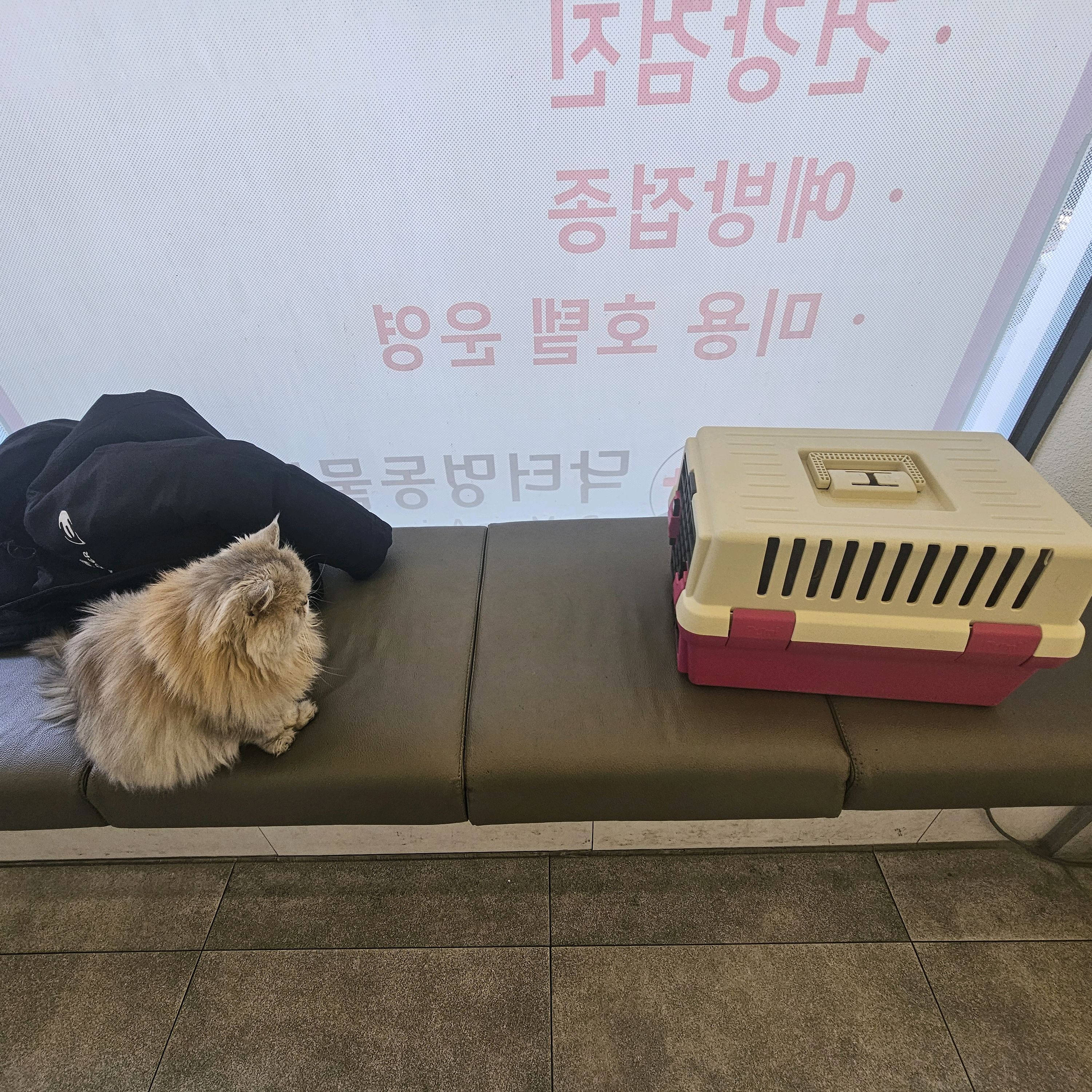 리뷰 사진 1