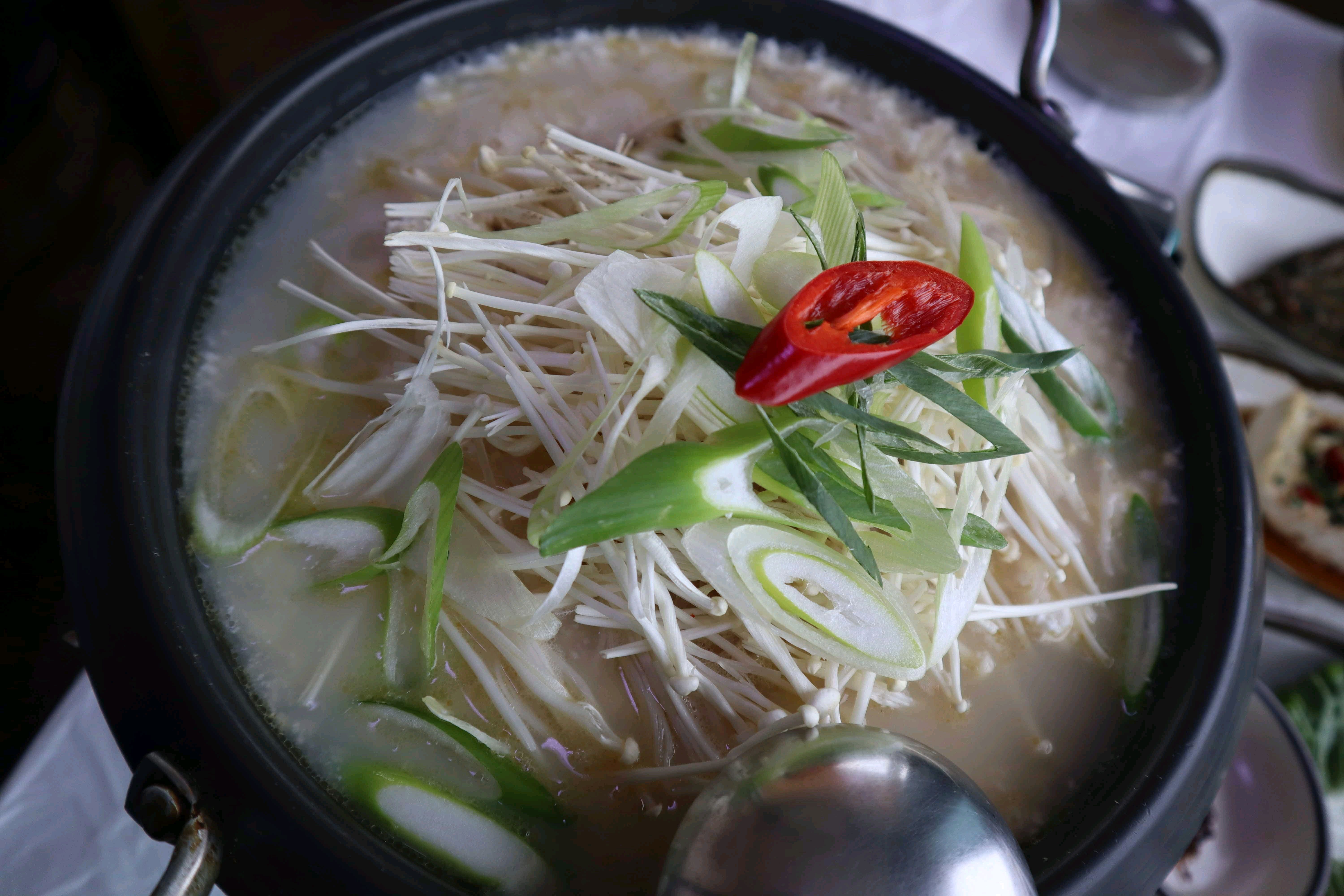 [강릉 맛집 농촌순두부] 직접 가본 로컬 리뷰