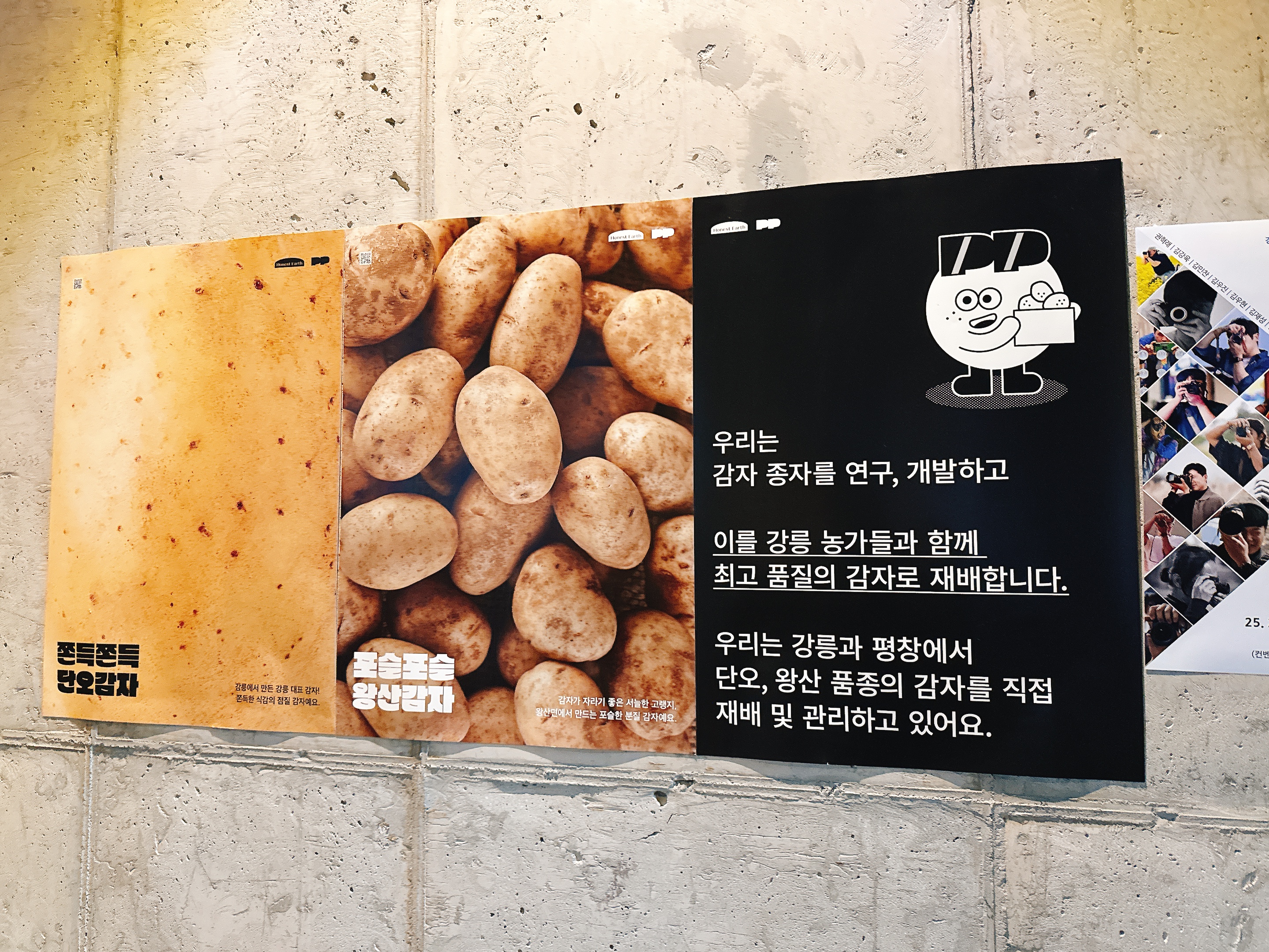 [강릉 맛집 감자유원지] 직접 가본 로컬 리뷰