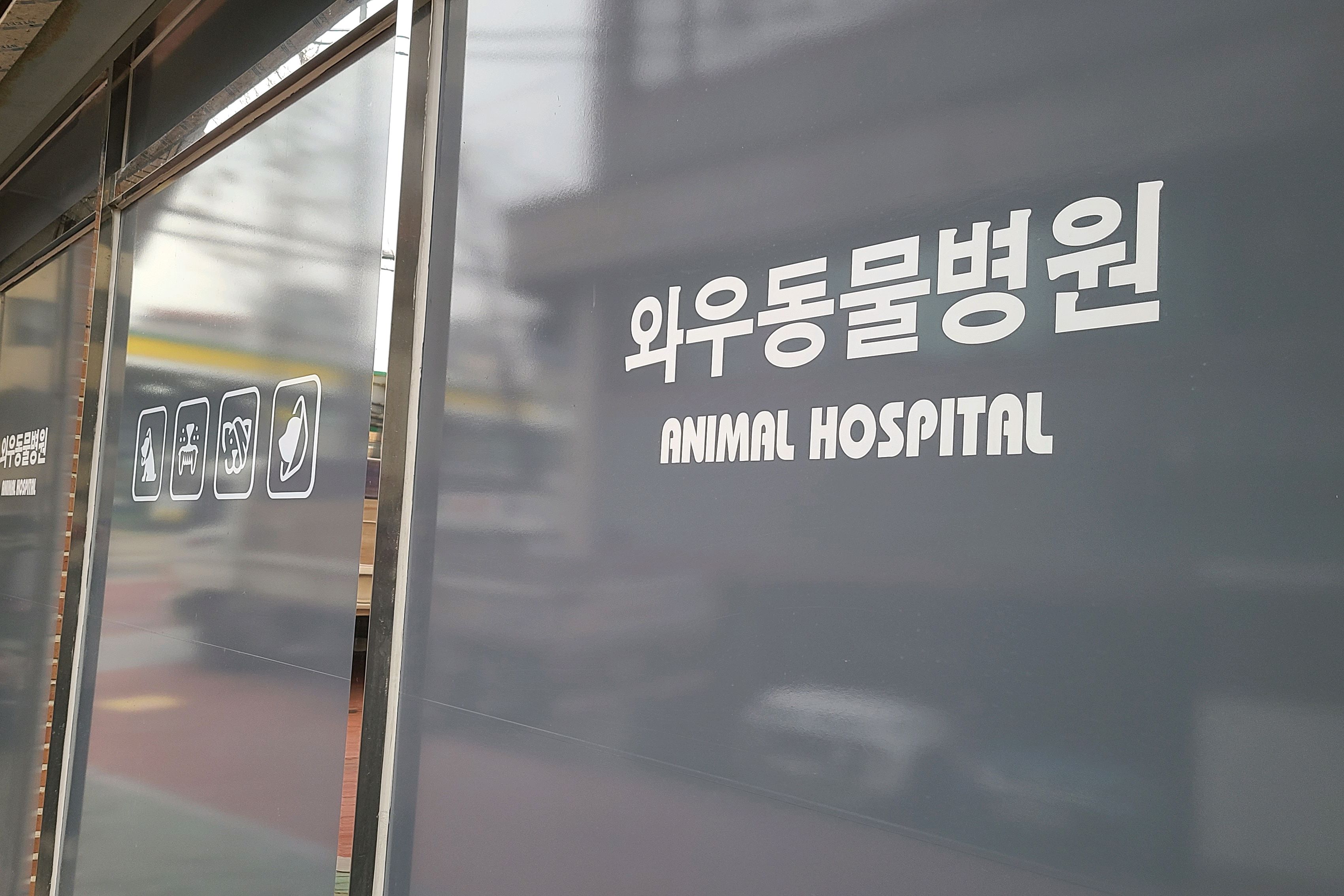 리뷰 사진 1