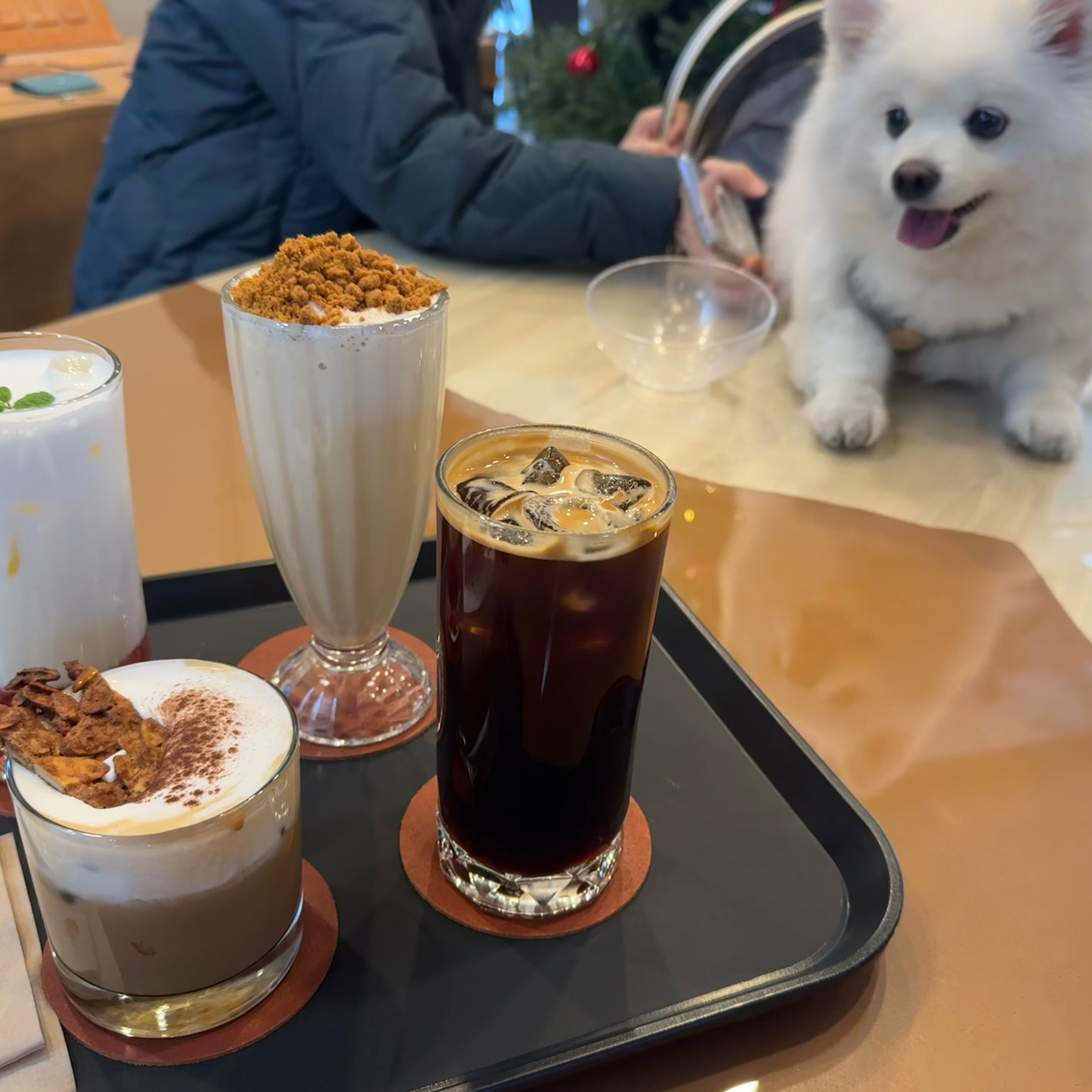 [강릉 맛집 에브리모먼트커피] 직접 가본 로컬 리뷰