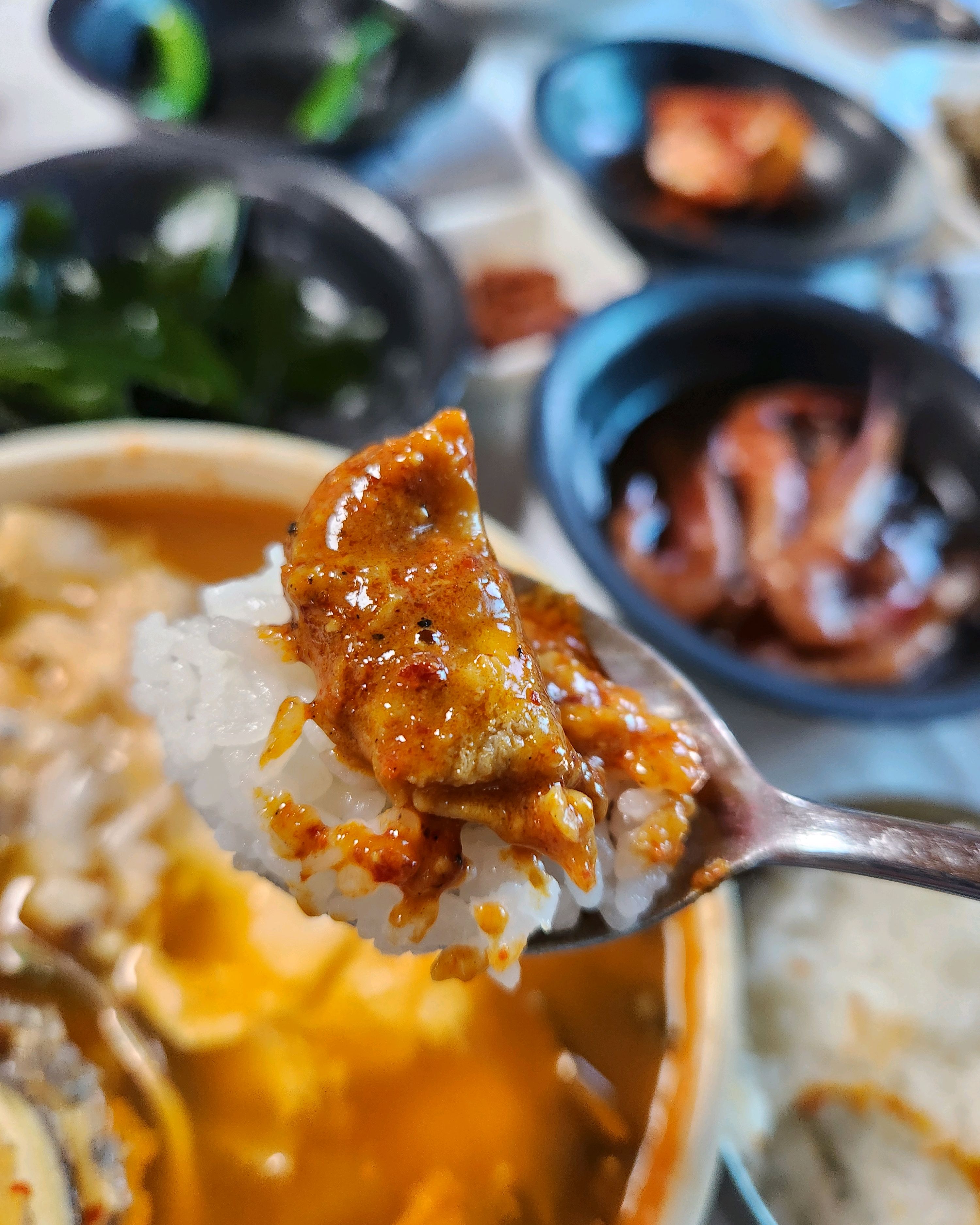 [동해 맛집 거북이횟집곰치국] 직접 가본 로컬 리뷰