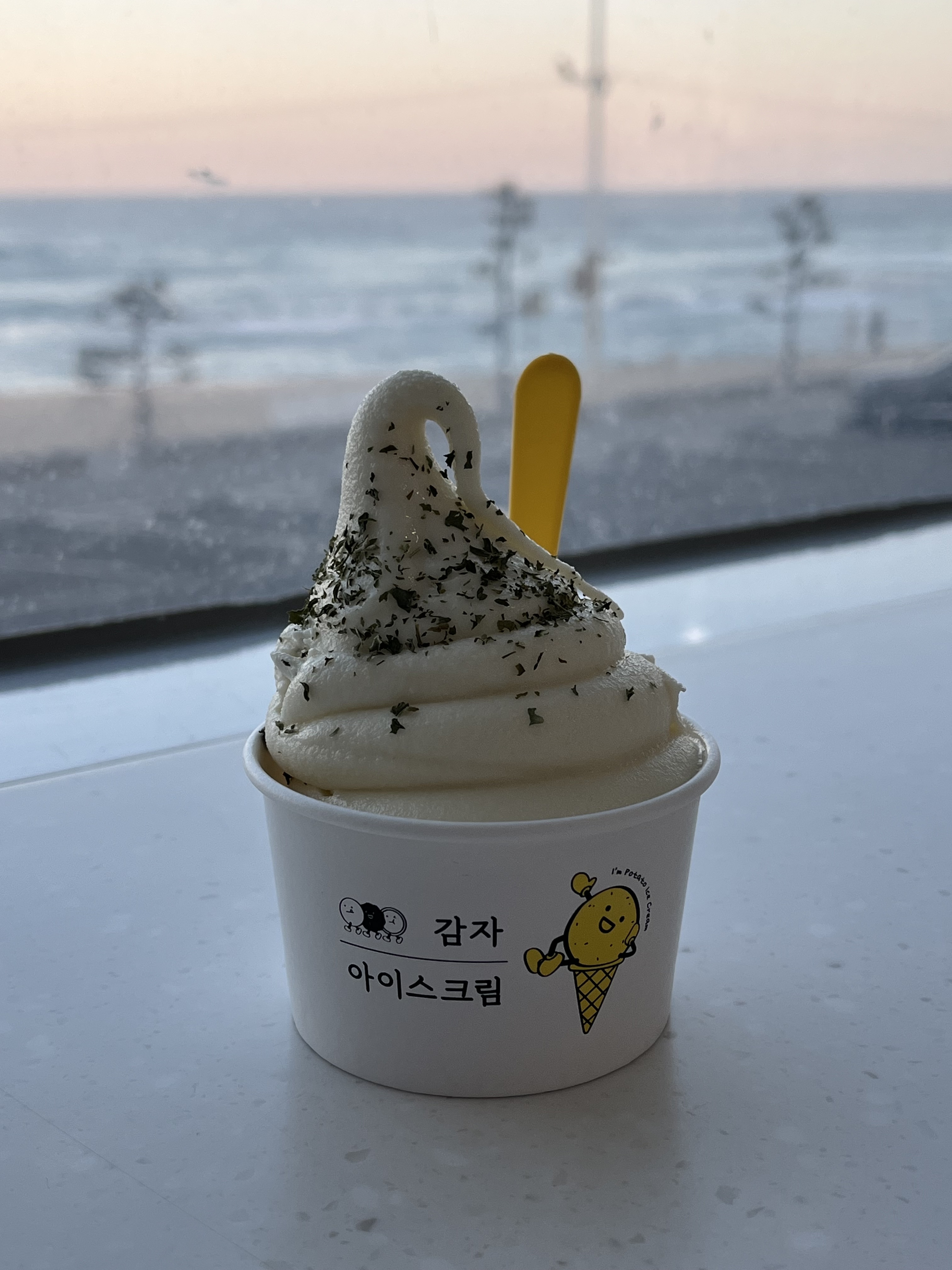 [강릉 맛집 강릉커피빵 본점] 직접 가본 로컬 리뷰