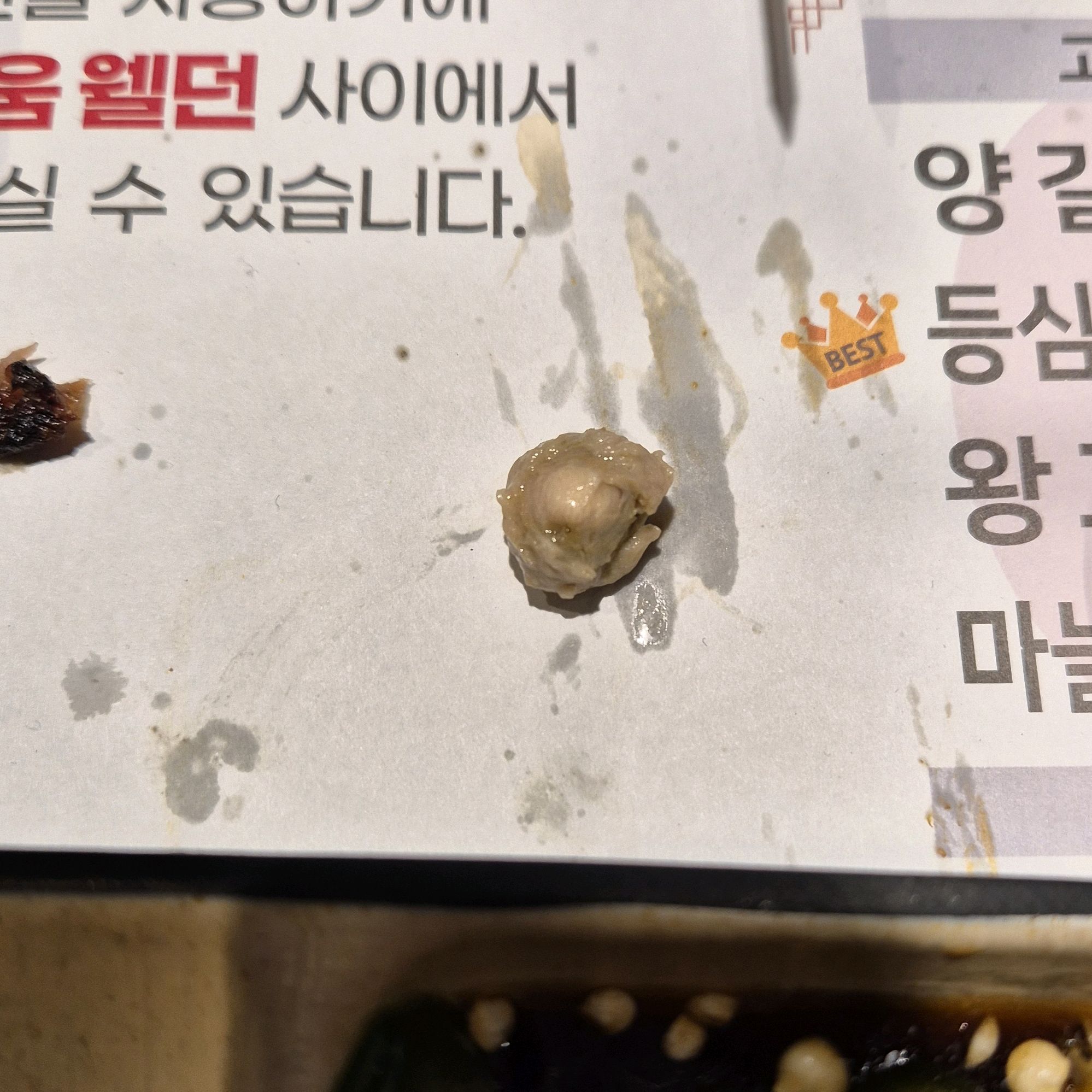 정자역 맛집 이가네양꼬치 정자직영점 내돈내산 찐리뷰