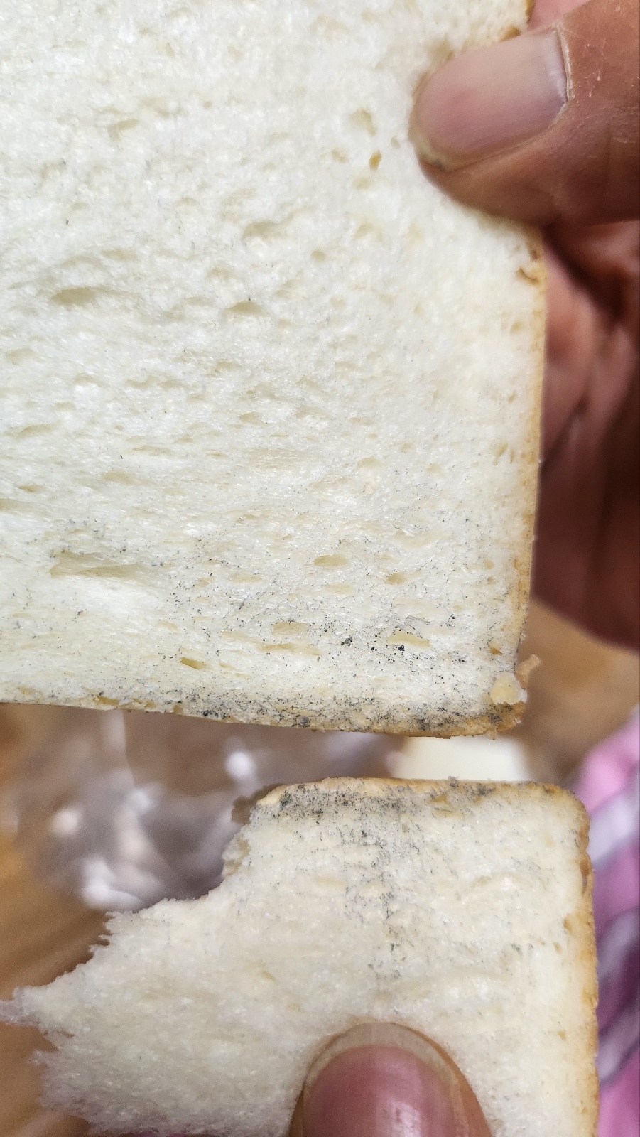 소문대로 촉촉하고 맛있어요 - 봉선동 맛집 화이트리에 봉선점