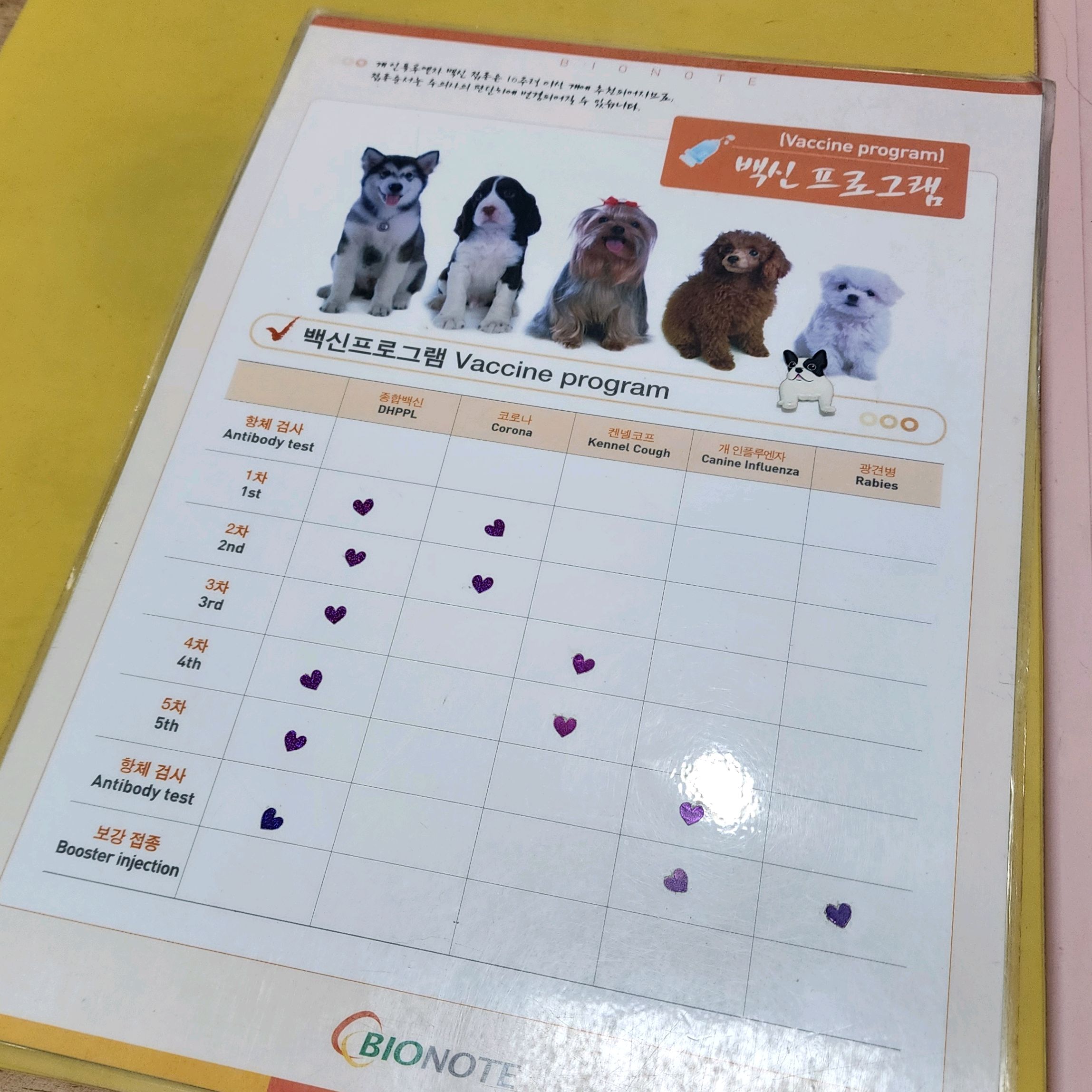 리뷰 사진 1
